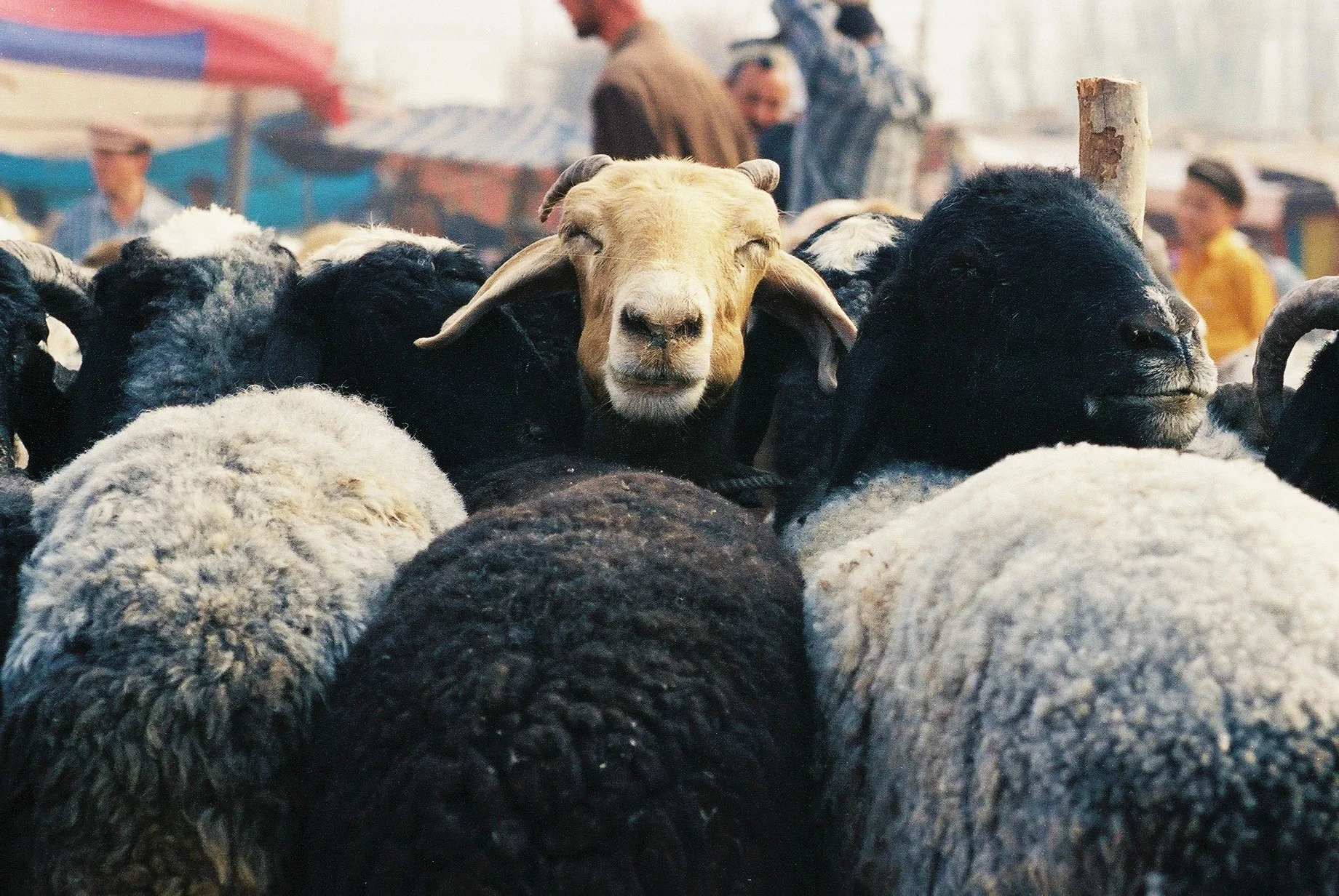 Kashgar, Xinjiang, China, 1999
