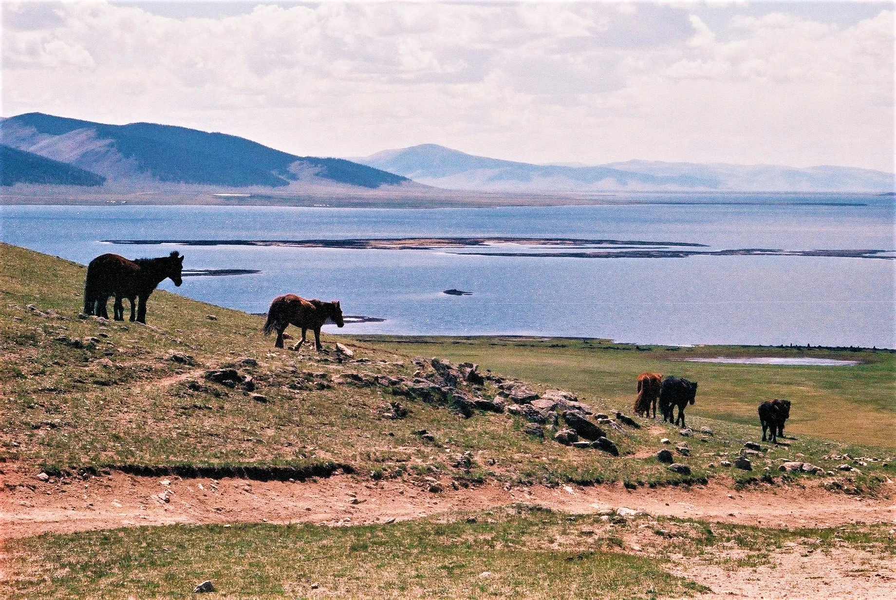Khorgo, Mongolia, 1999