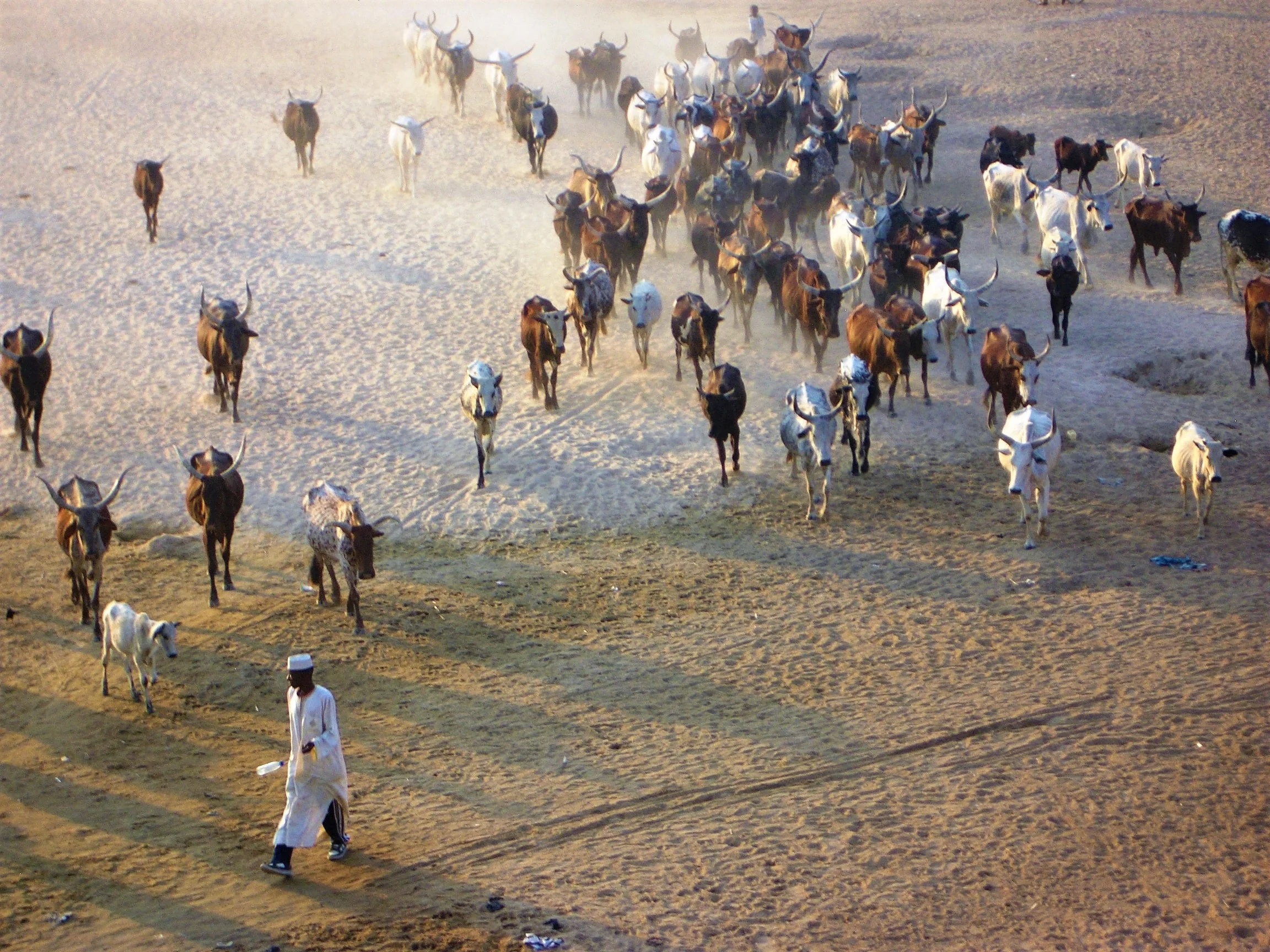 Maroua, Cameroon, 2008