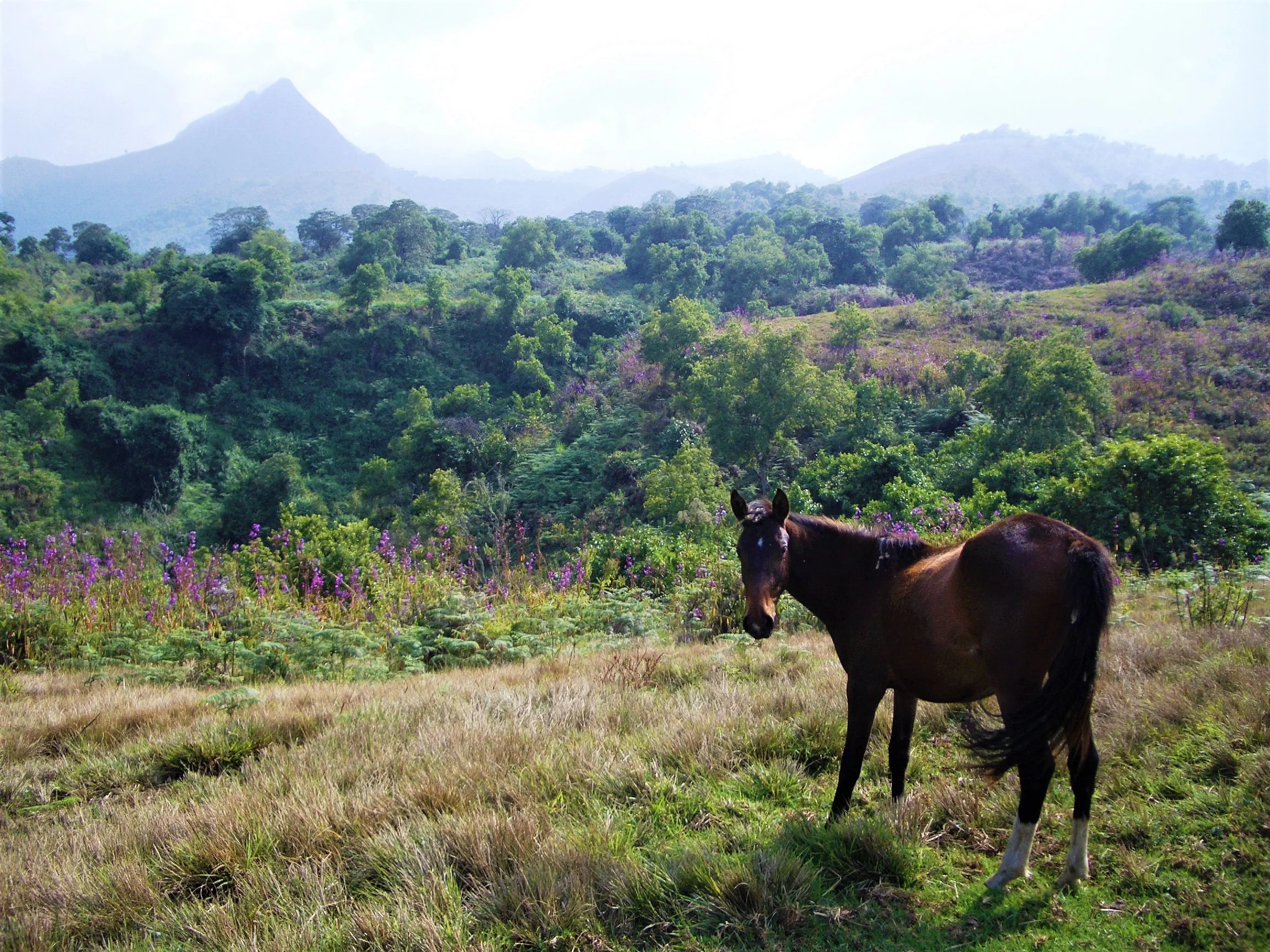 Twin Lakes, Cameroon, 2008