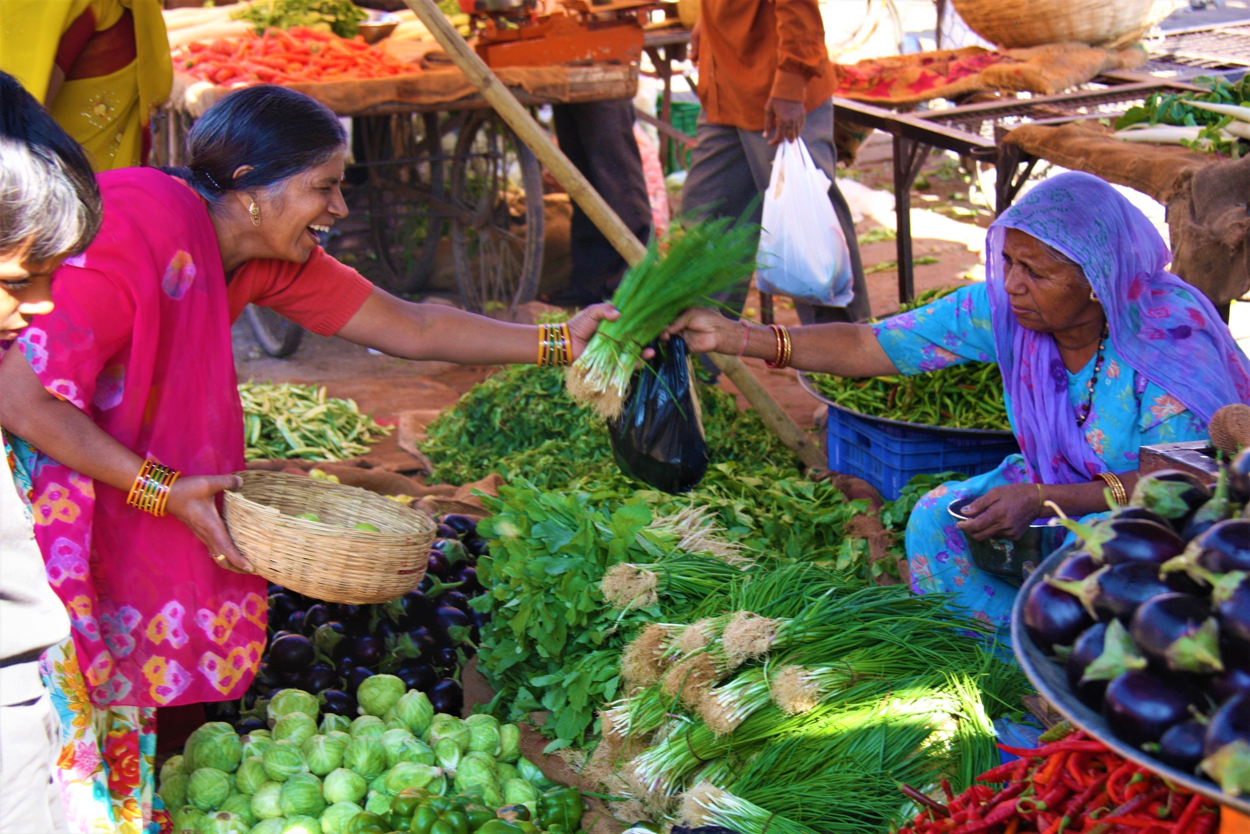 Rajasthan, India, 2008