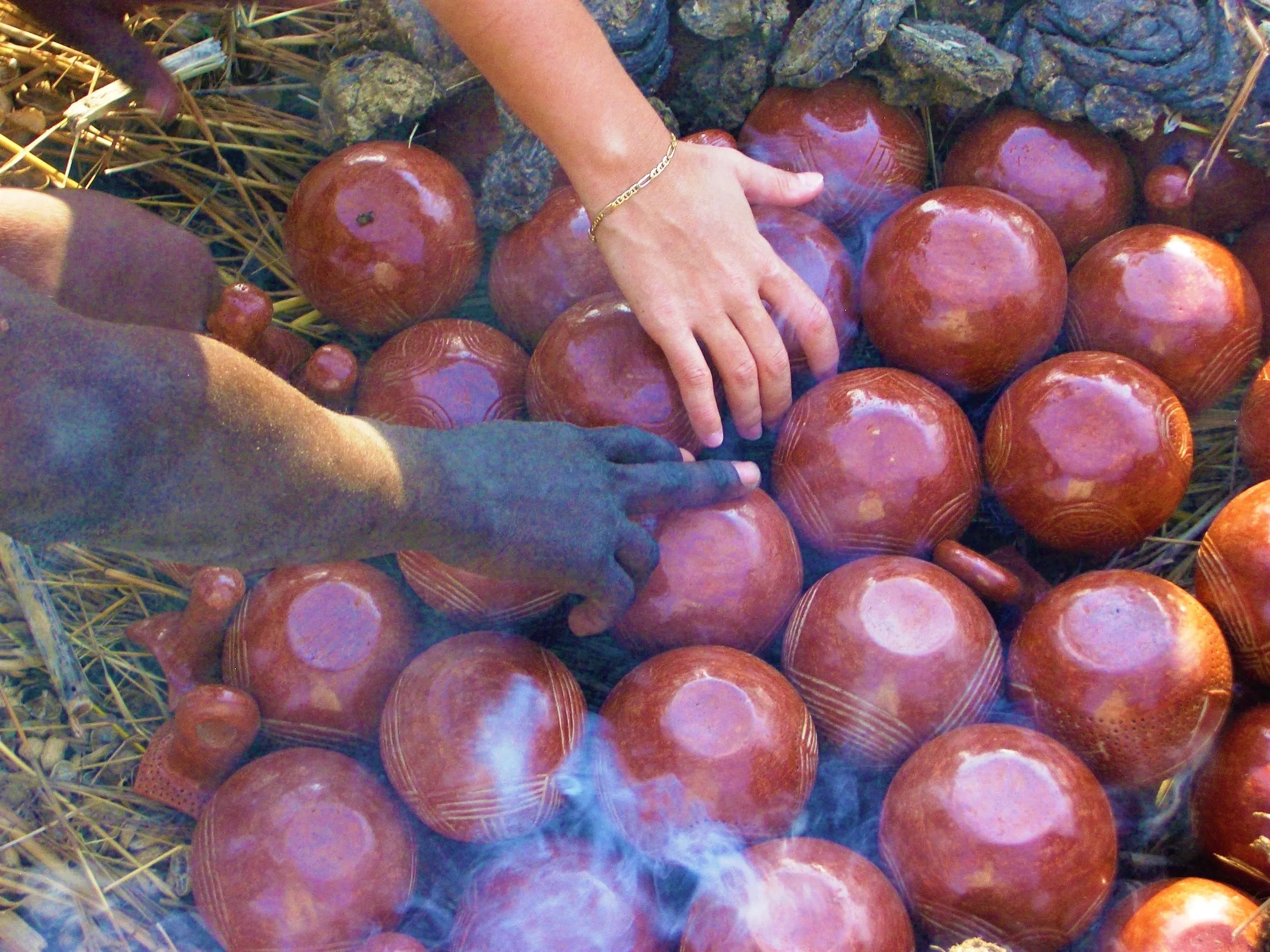 Sina, Cameroon, 2008