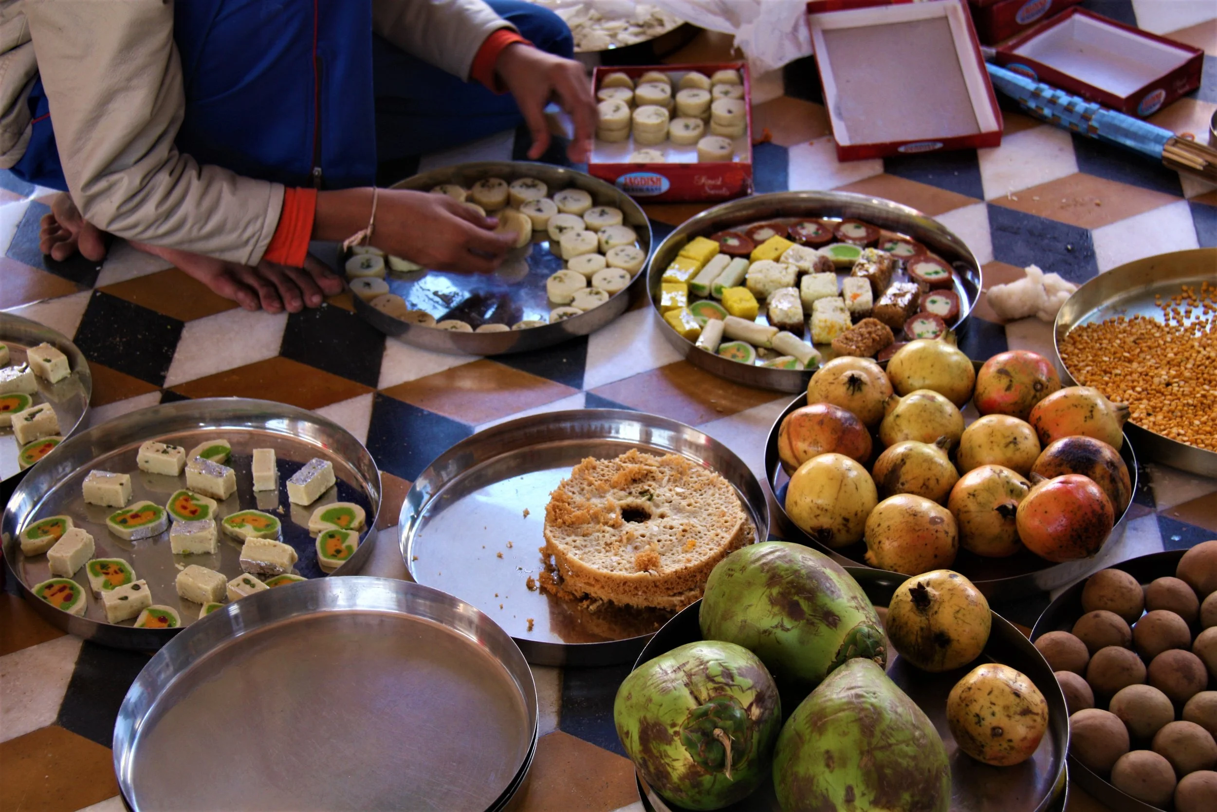 Narlai, Rajasthan, India, 2008