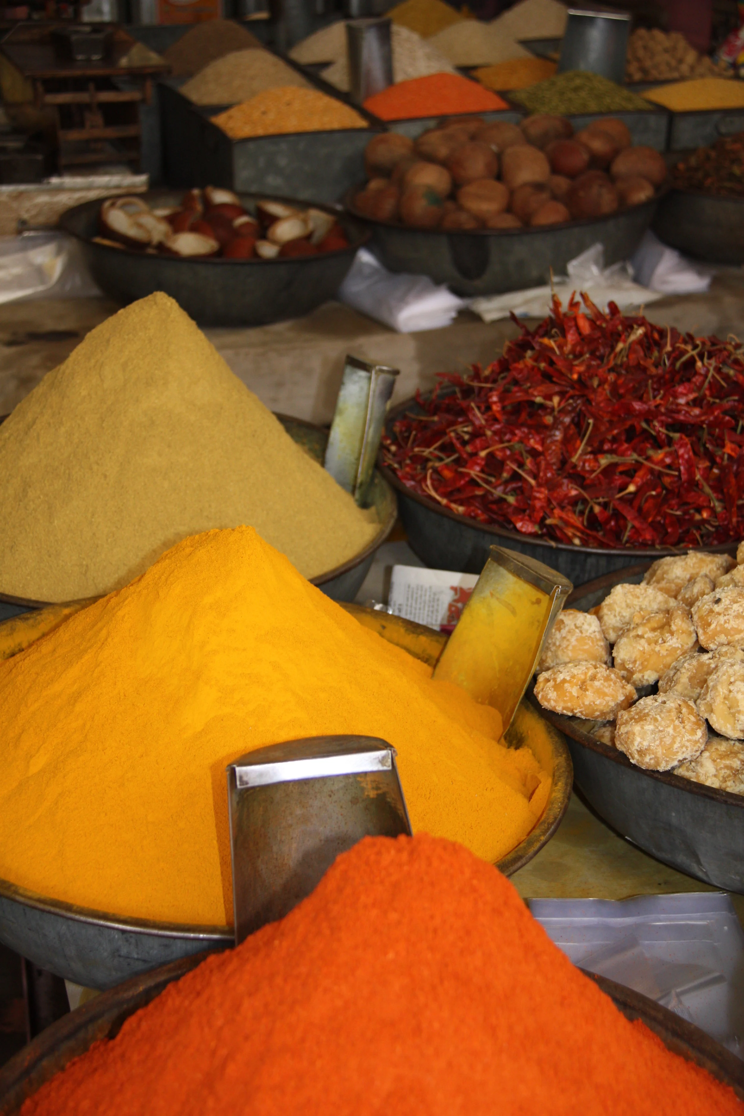 2009 India Jodhpur Spices.JPG