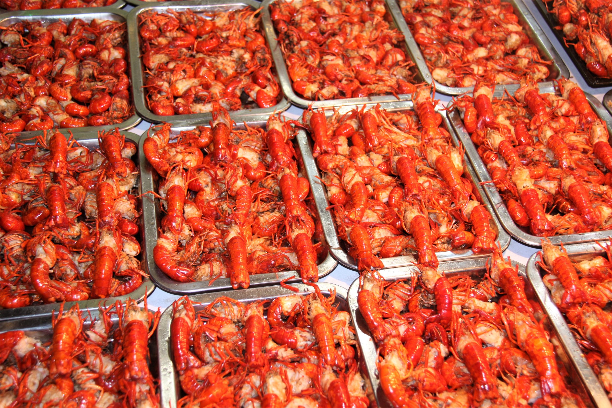 Xi'an, Shaanxi, China, 2009