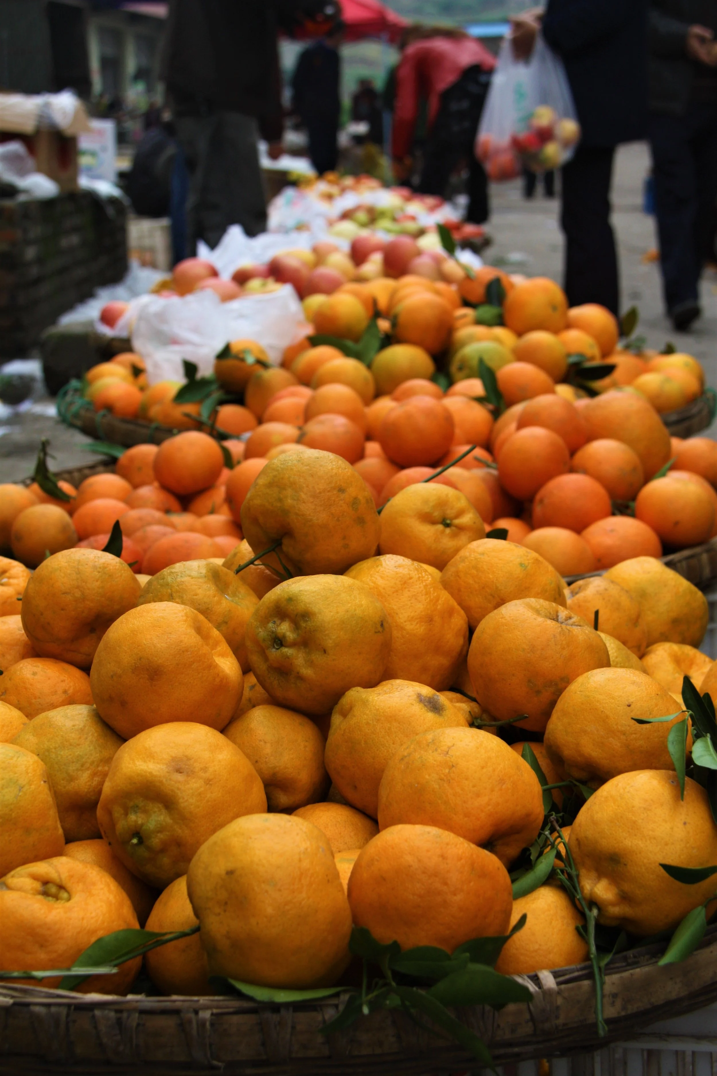 Laitan, Chongqing, China, 2011