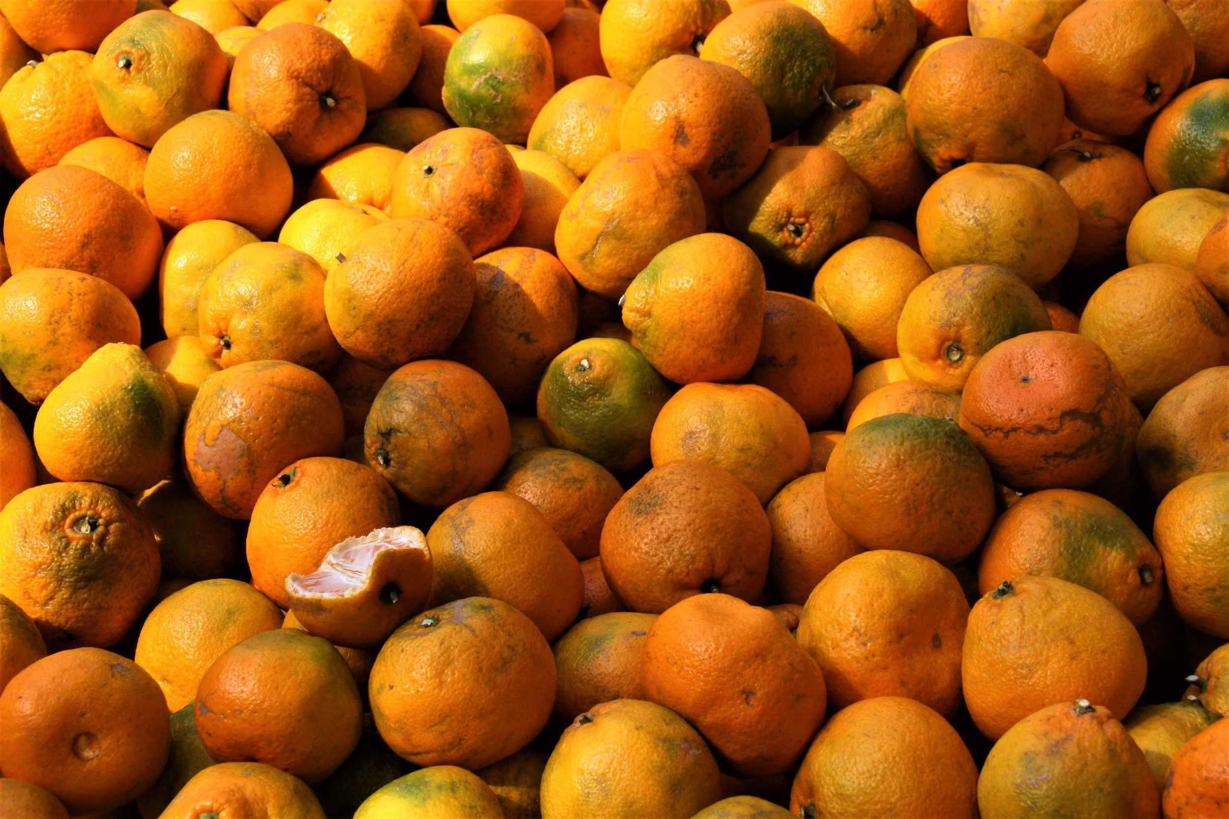 Nanxiang, Shanghai, China, 2011