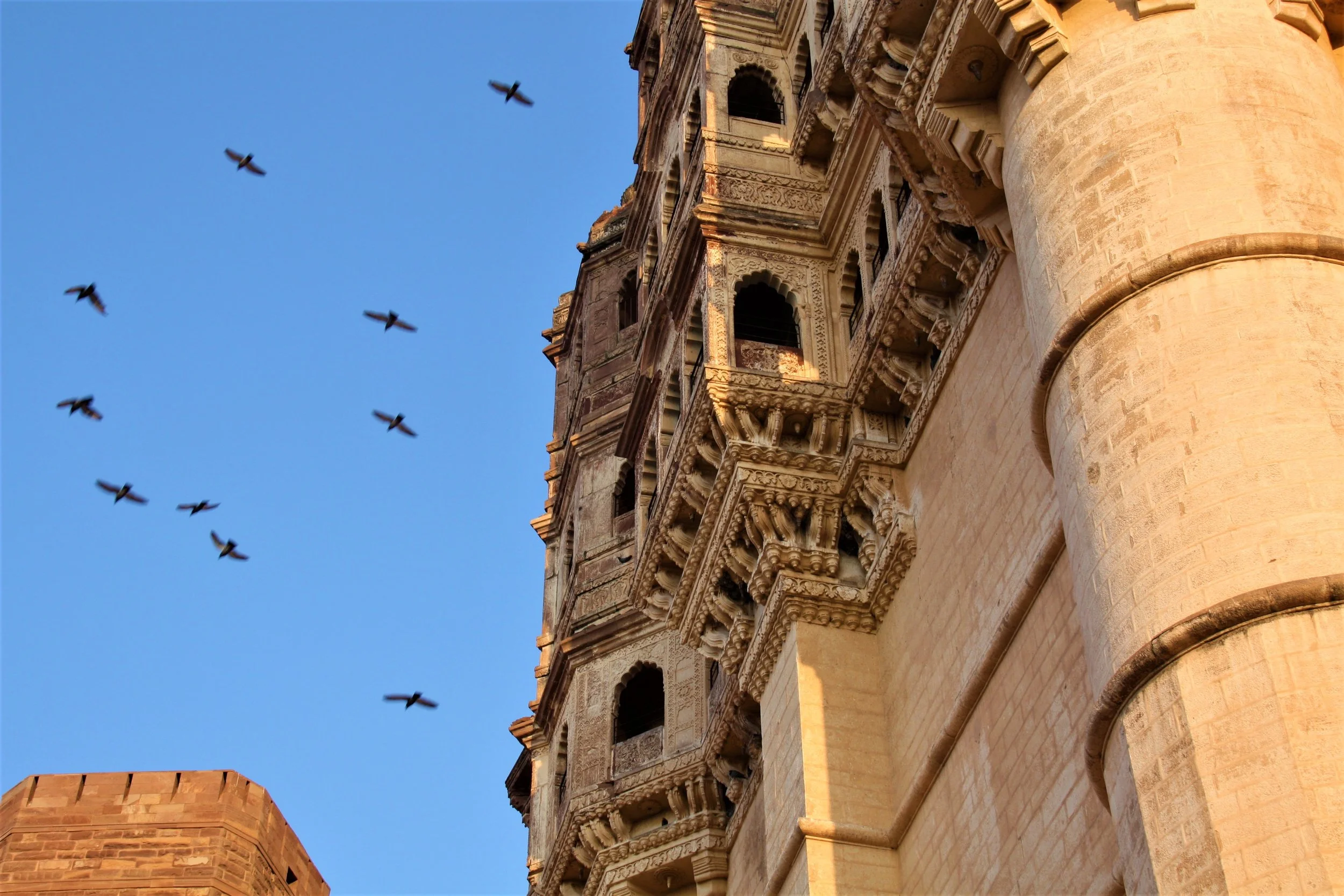 Jodhpur, Rajasthan, India, 2008
