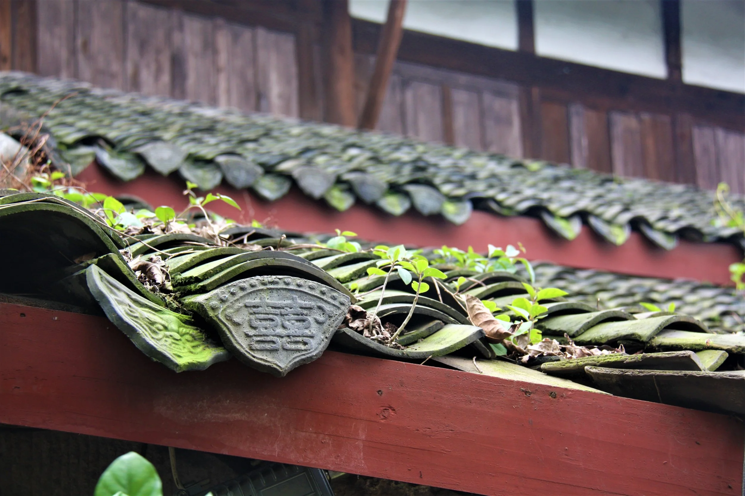 Laitan, Chongqing, China, 2011