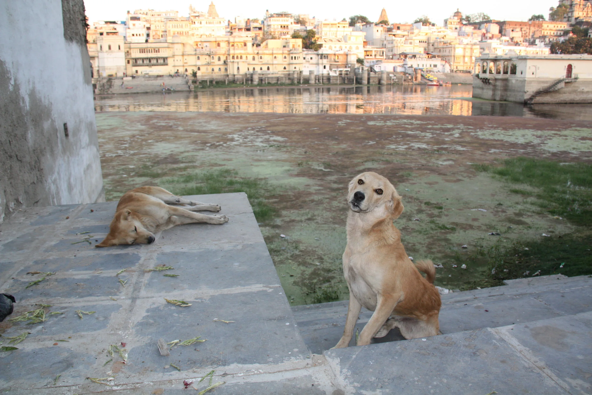 Udaipur, Rajasthan, India, 2008