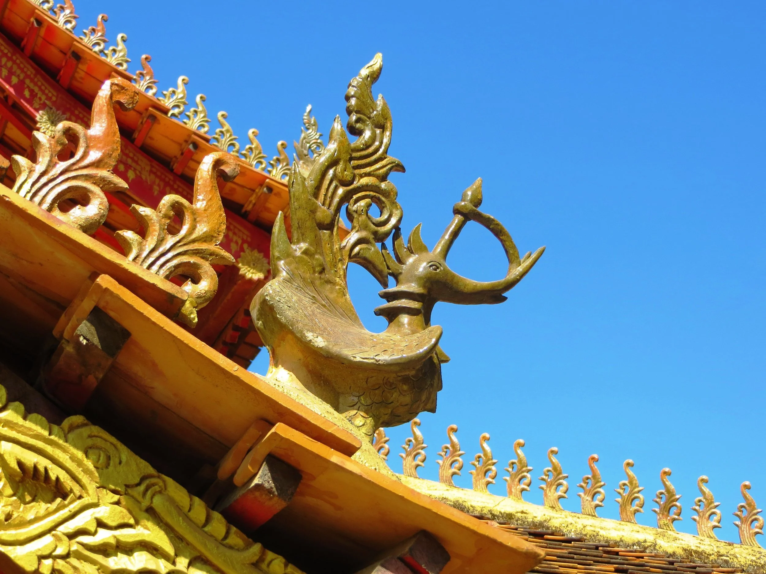 Xishuang Banna, Yunnan, China, 2015