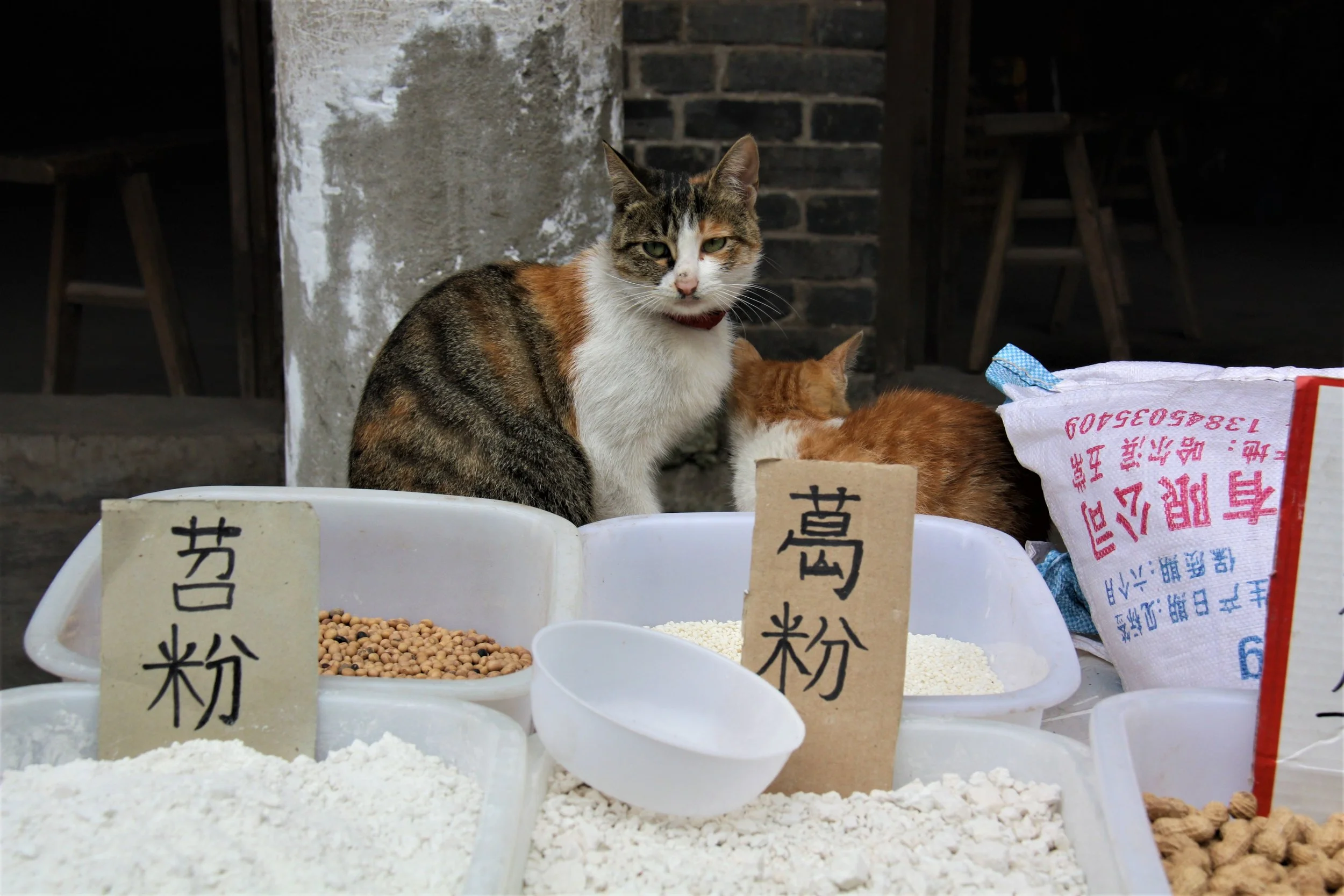 Laitan, Chongqing, China, 2011