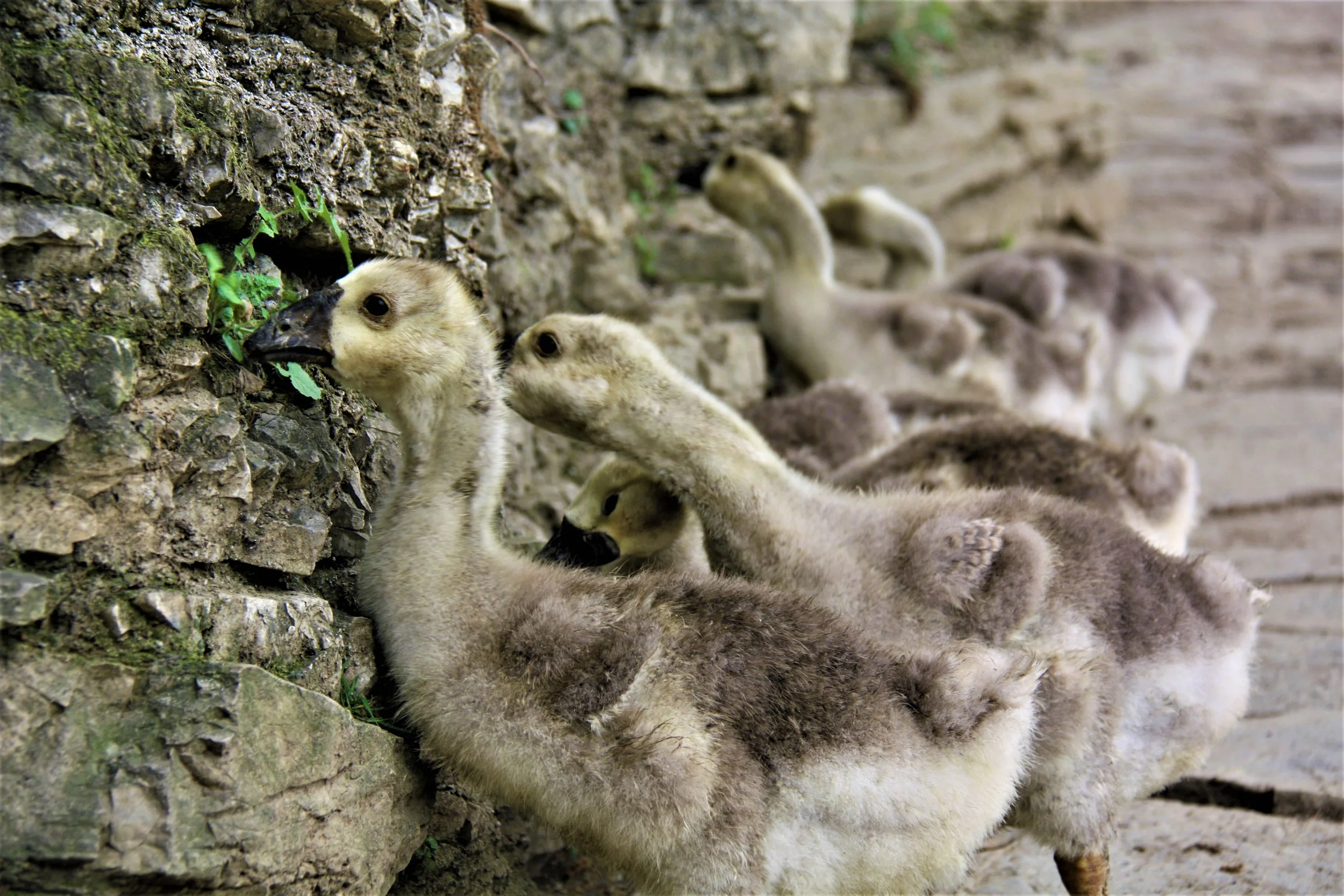 Guizhou, China, 2012