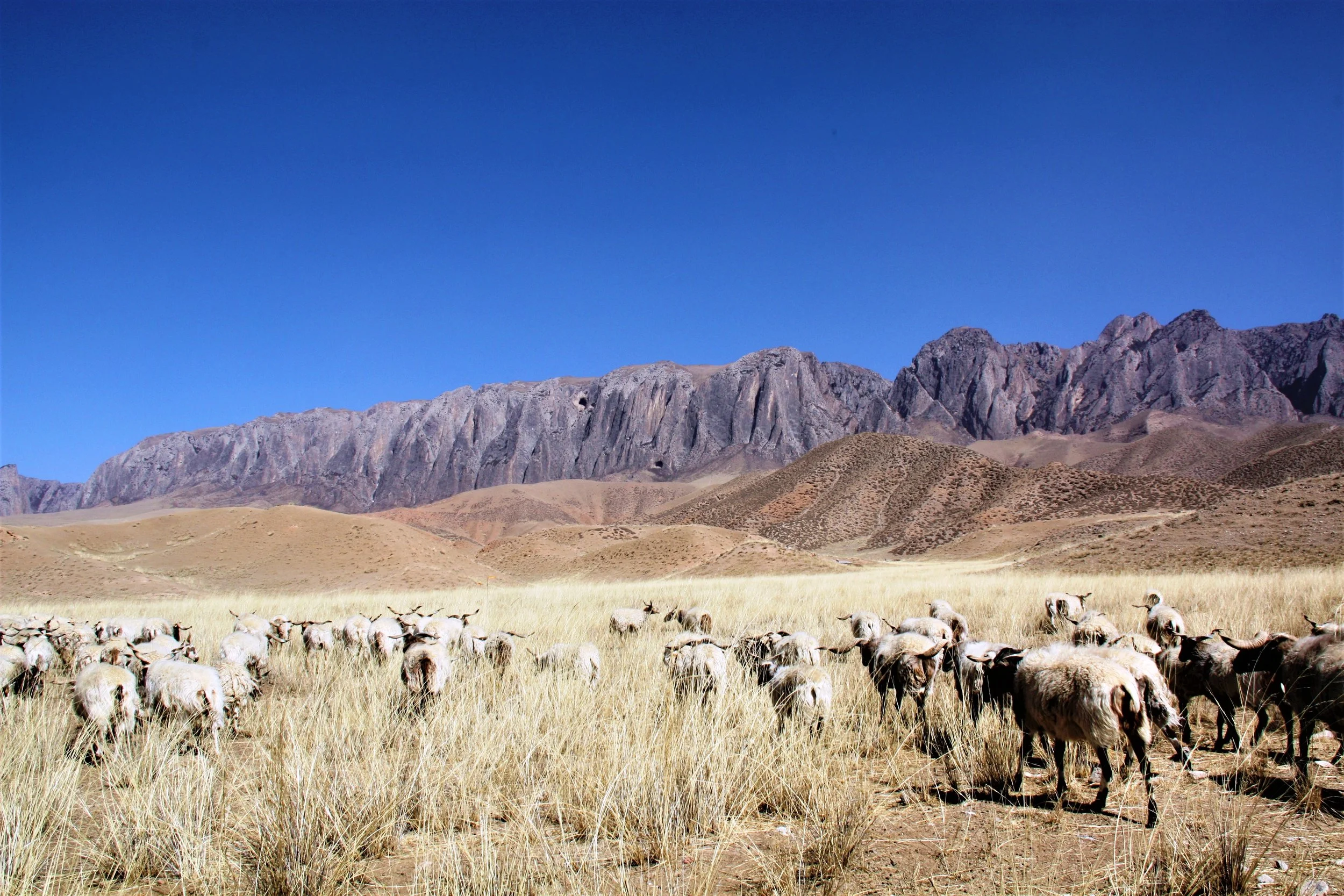 Qinghai, China, 2014