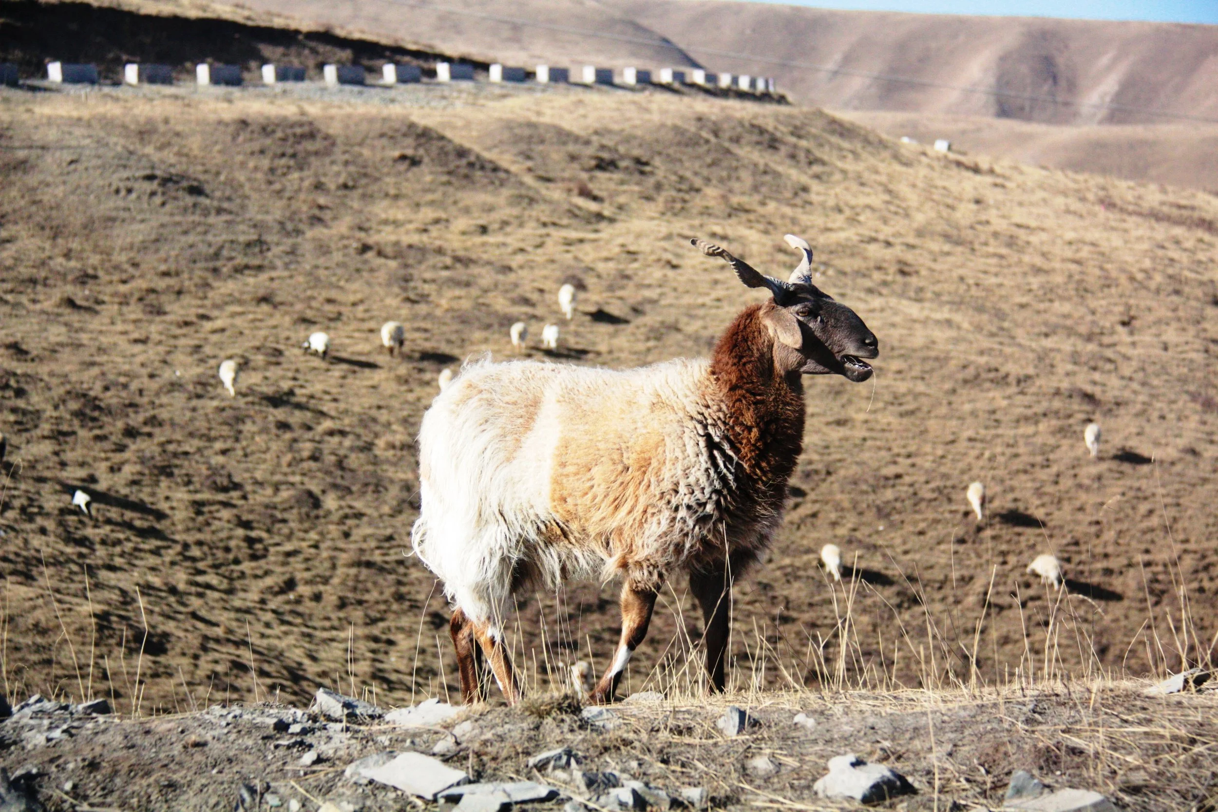 Qinghai, China, 2014