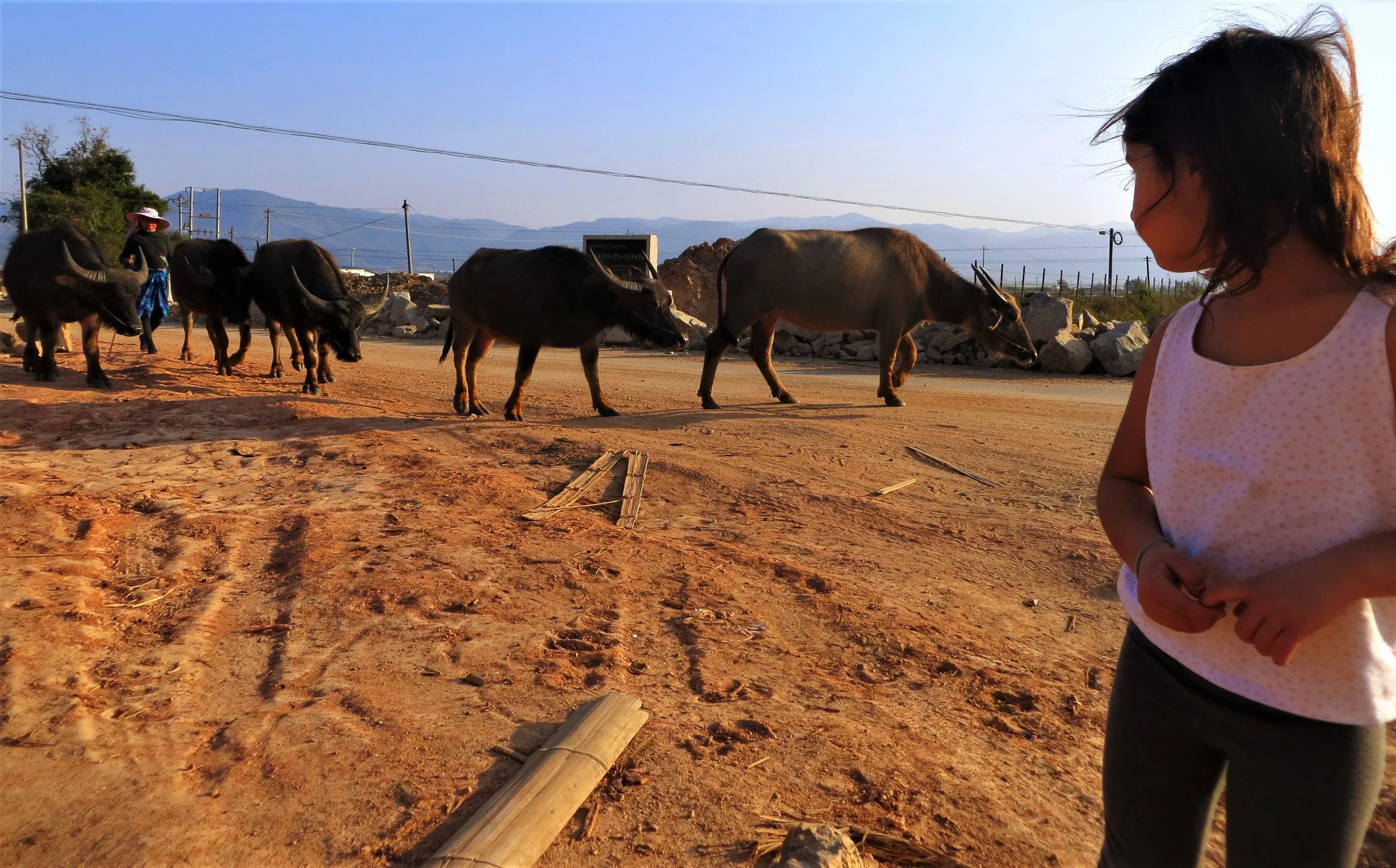 Xishuang Banna, Yunnan, China, 2015