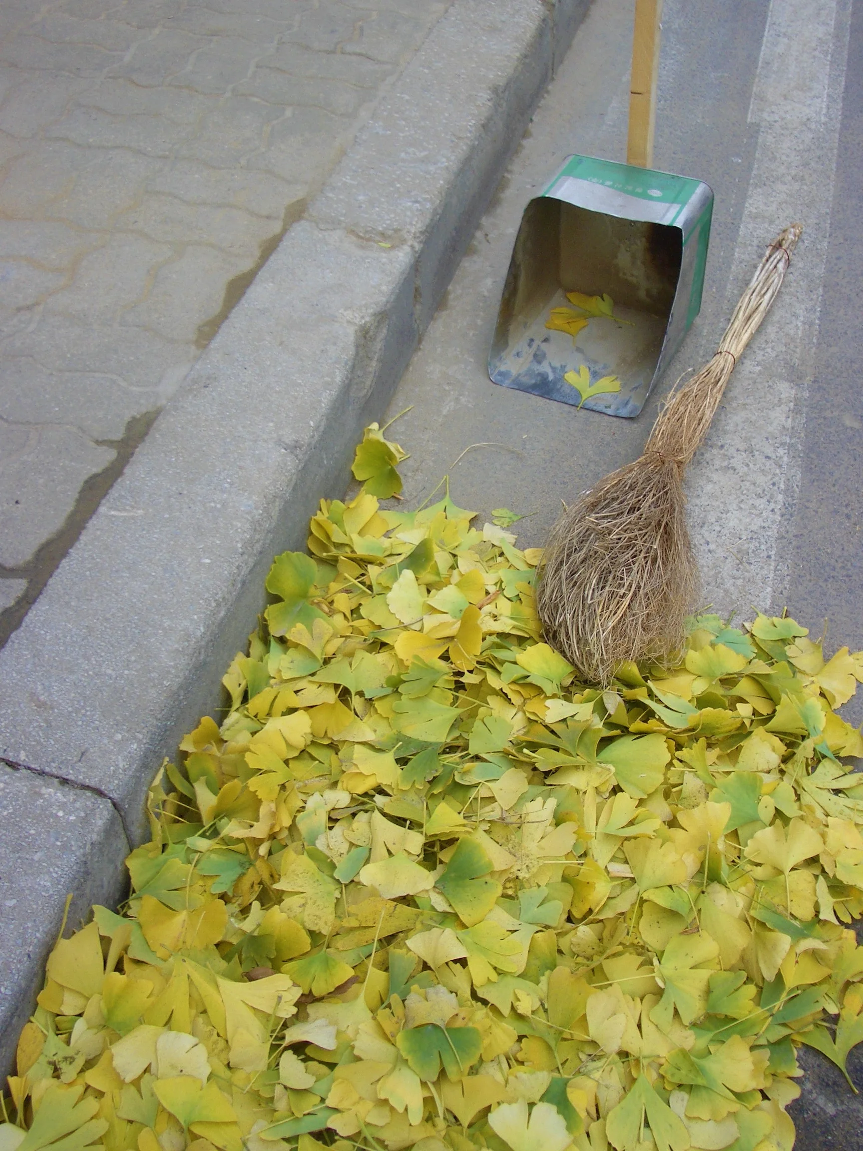 South Korea, 2006