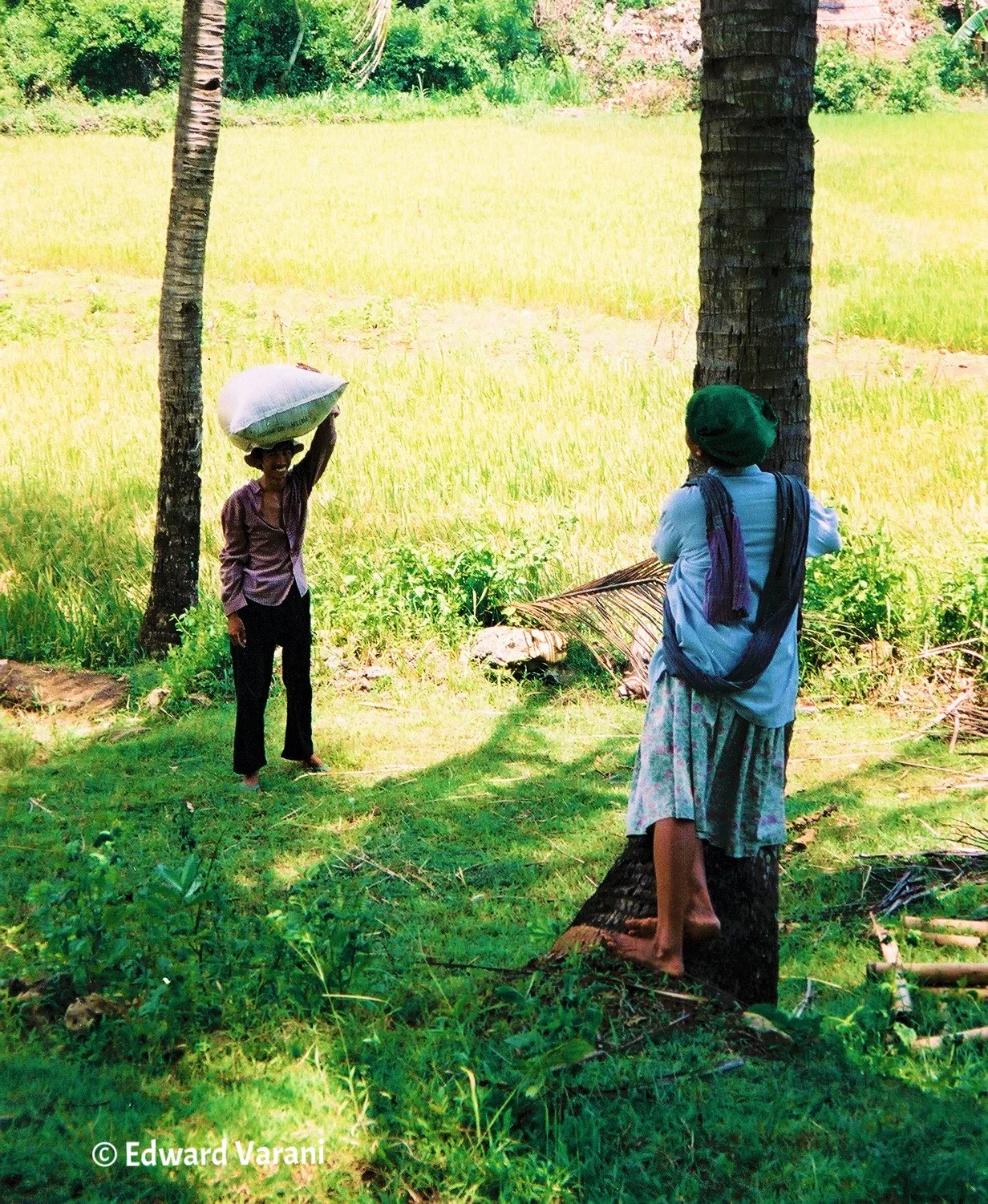 Lendang Nangka, Lombok, Indonesia, 1996