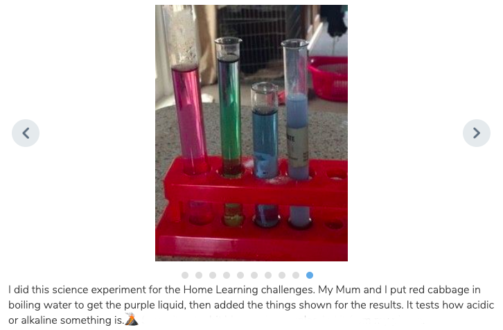 Screen Shot 2019-07-04 at 2.41.56 PM copy.png