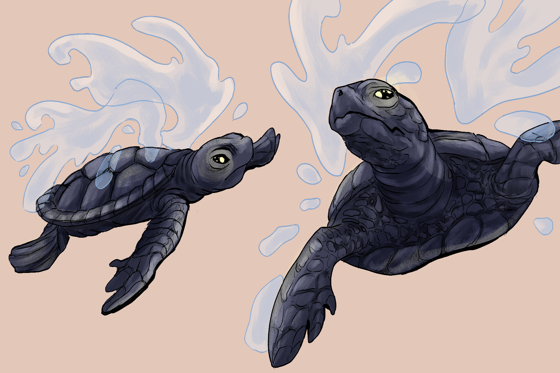 Black Turtle of the North