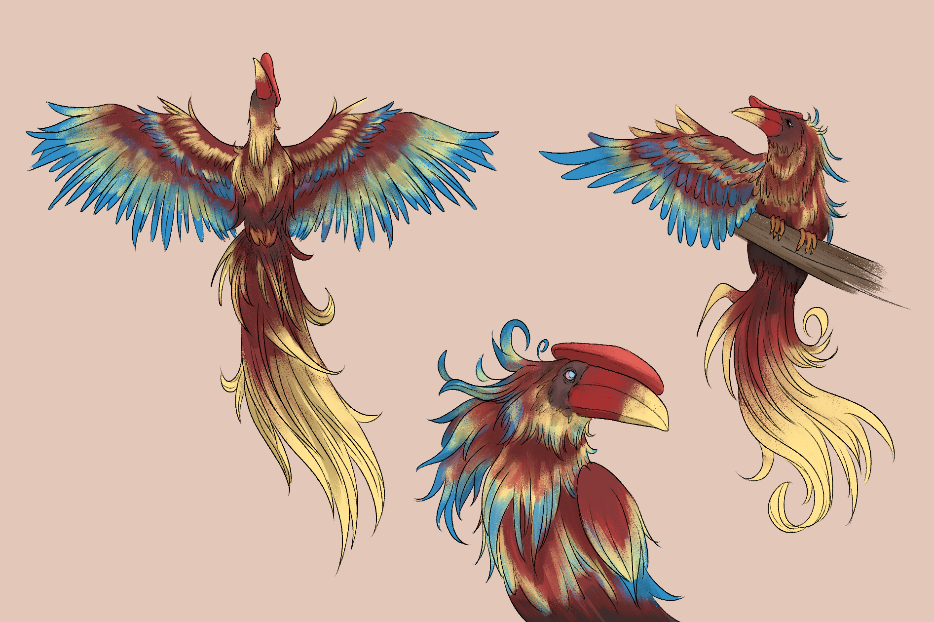 Vermillion Bird of the South