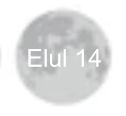 Screenshot 2025-08-18 at 3.06.19 PM.png