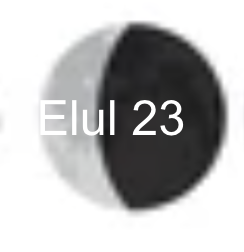 Screenshot 2025-08-18 at 3.06.58 PM.png