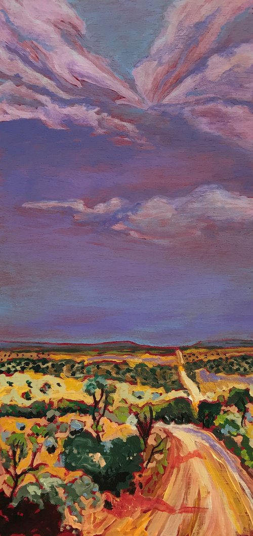 Gypsy Journey Simpson Desert