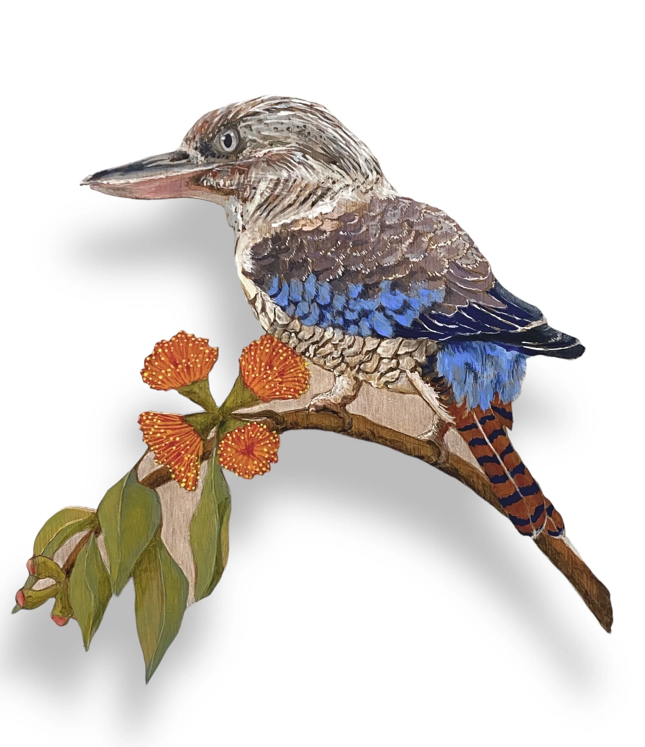 Merry king of the bush