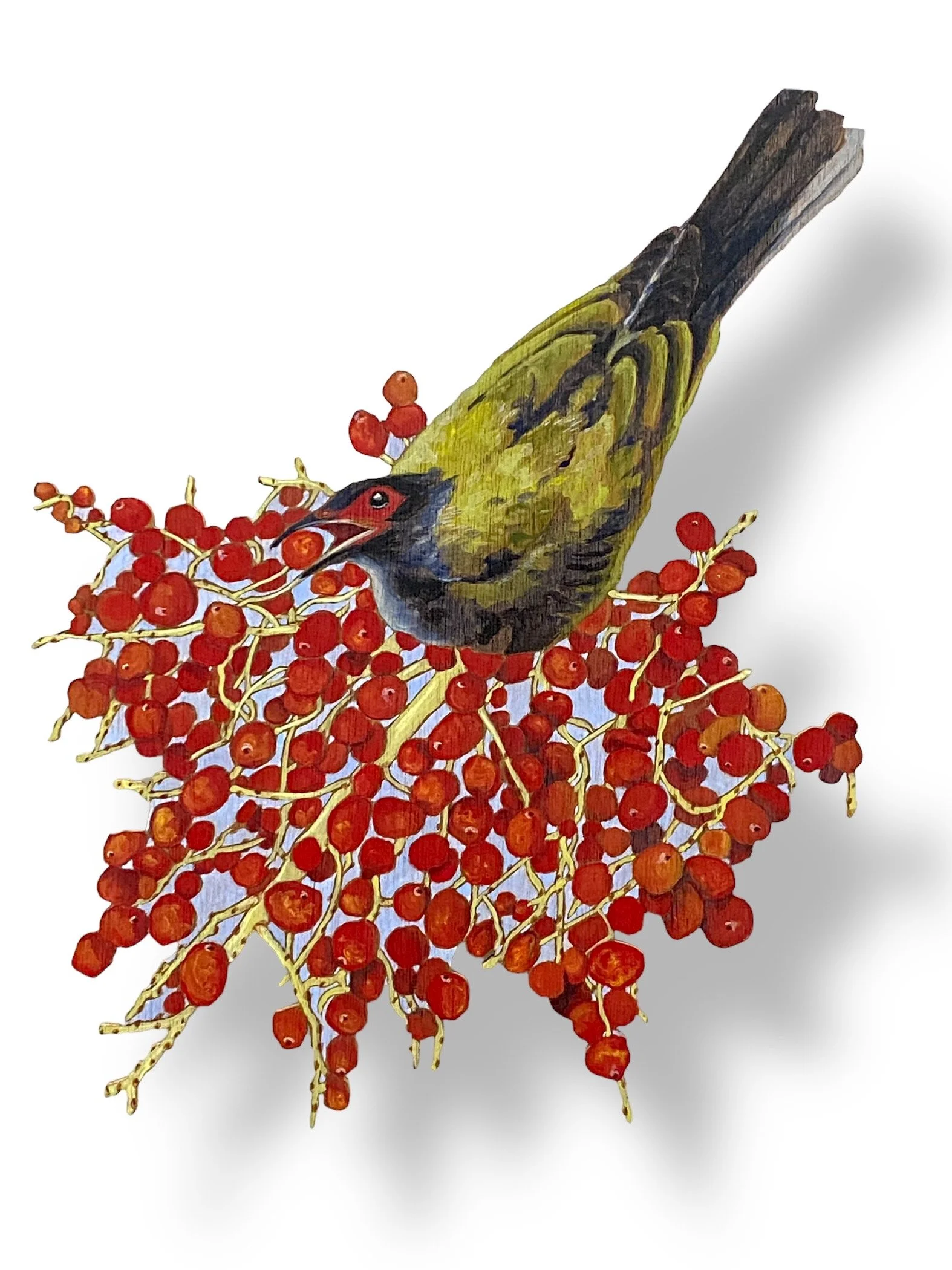Figbird on berries