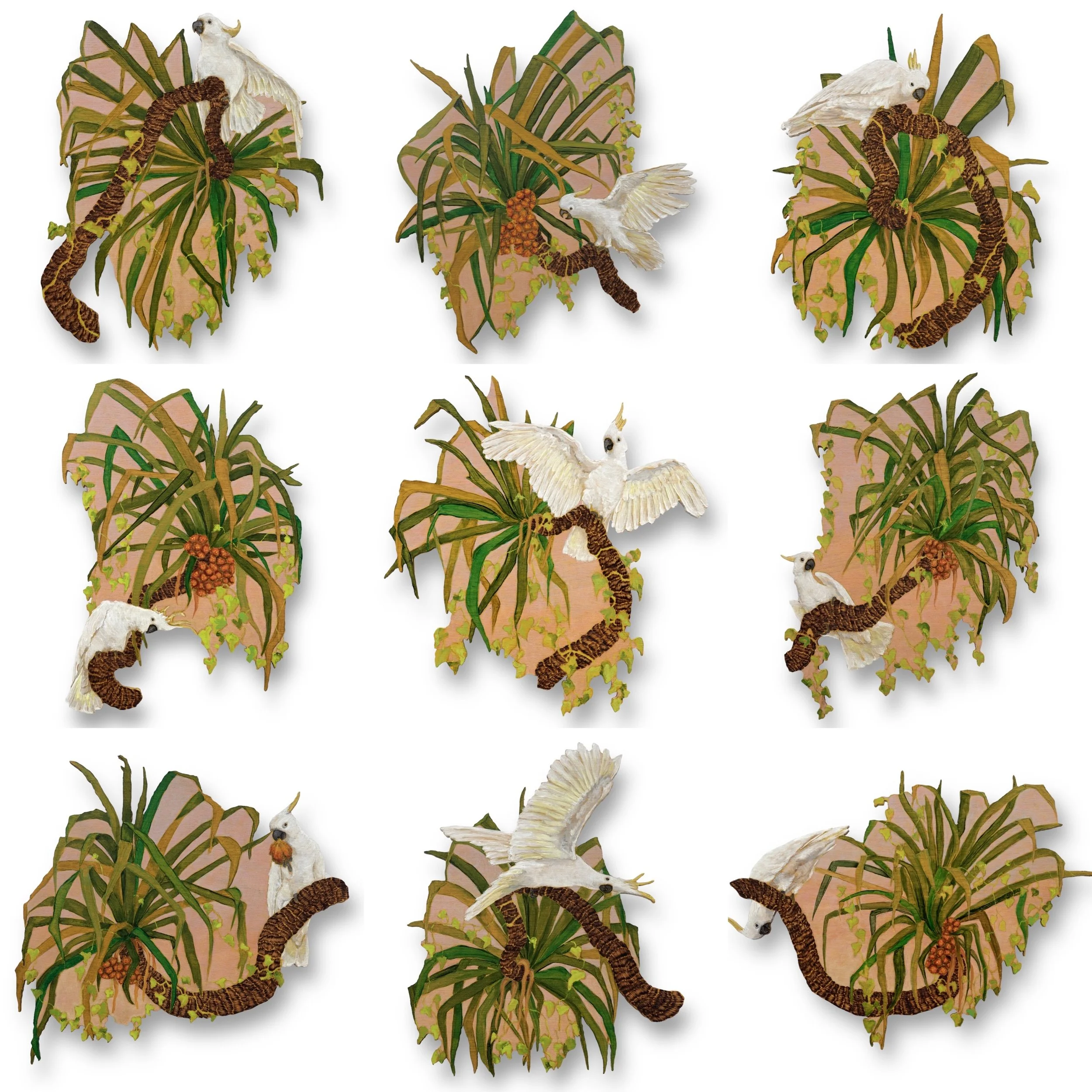 Cockatoo Capers_shadow.JPG