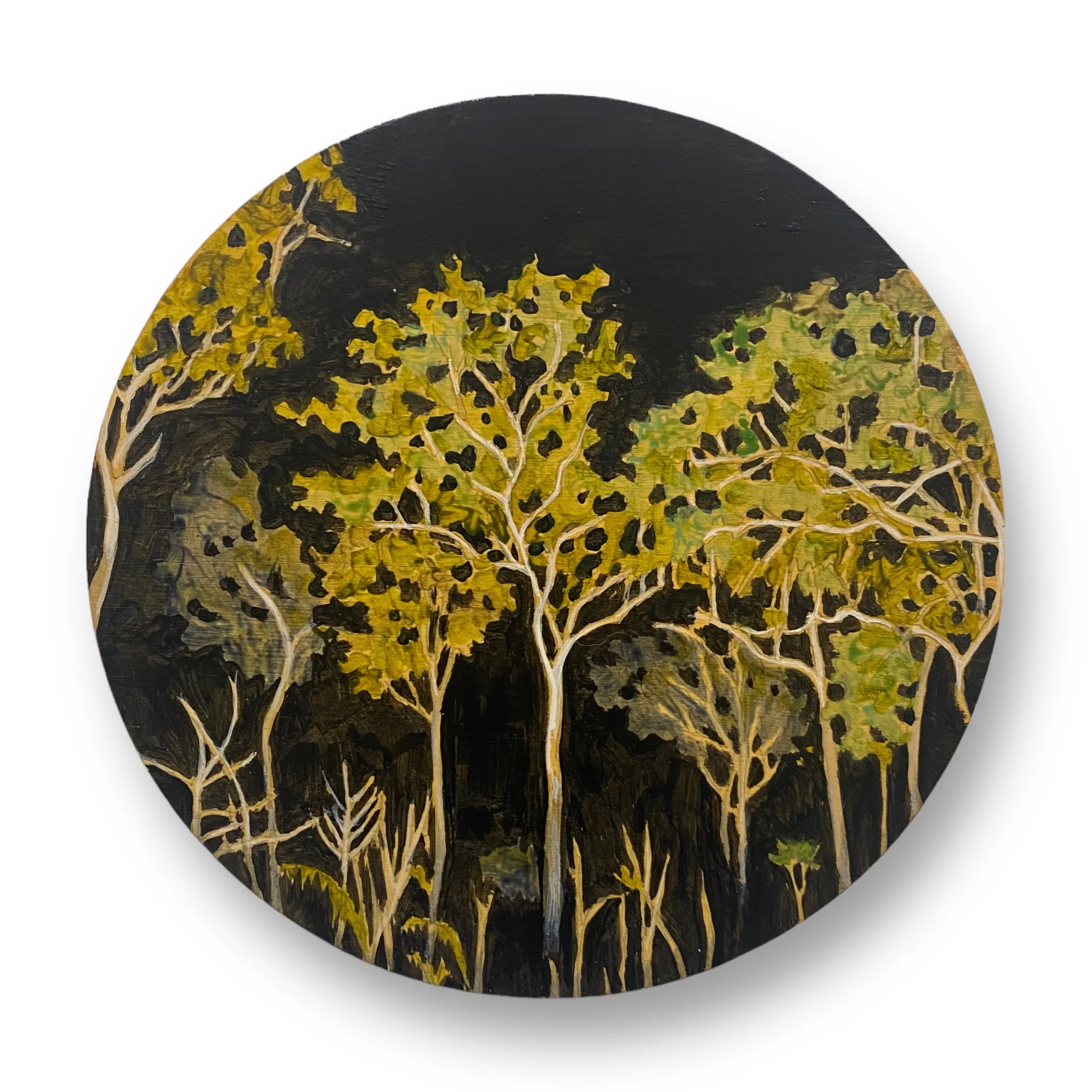 Bright in the dark of night