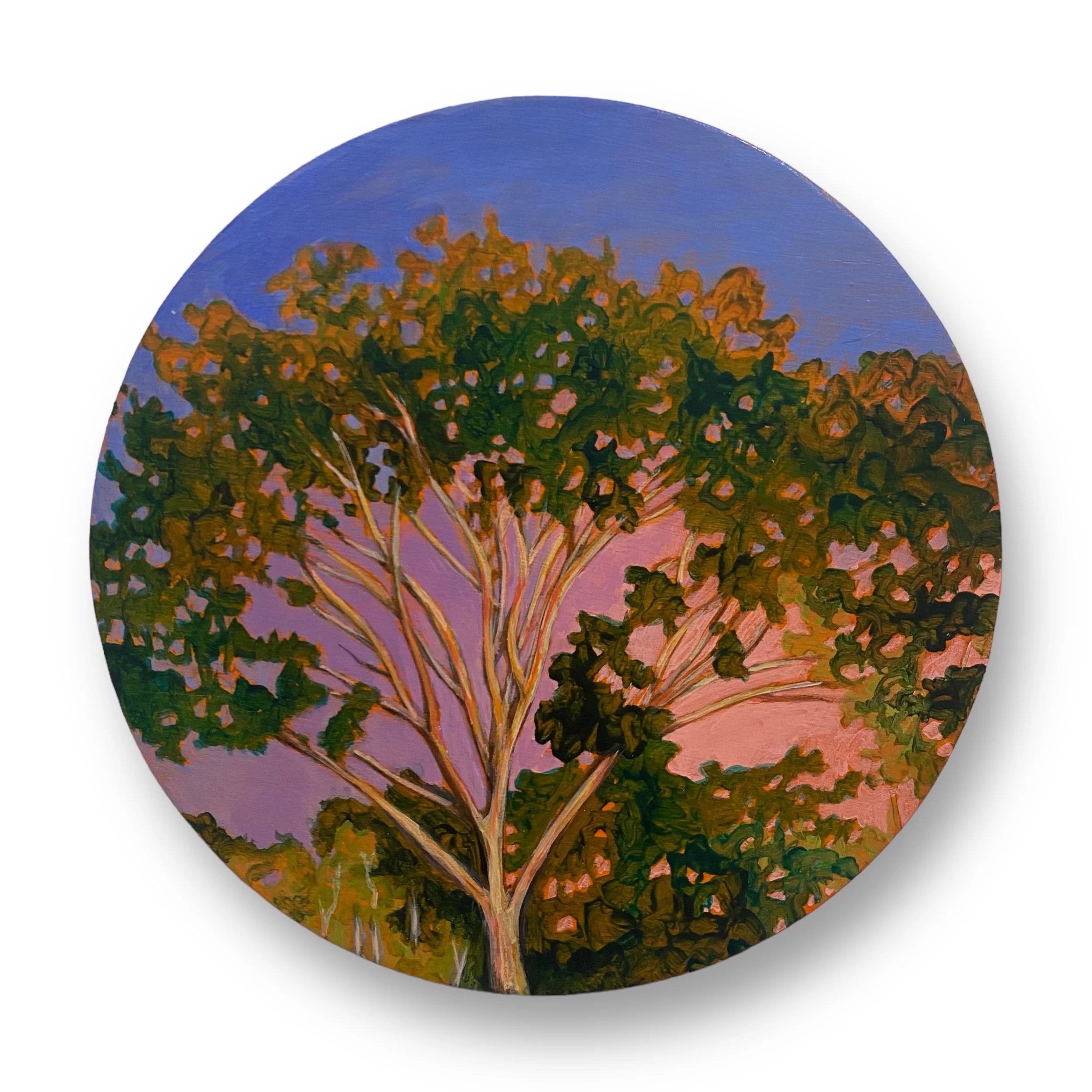 Catching the last rays