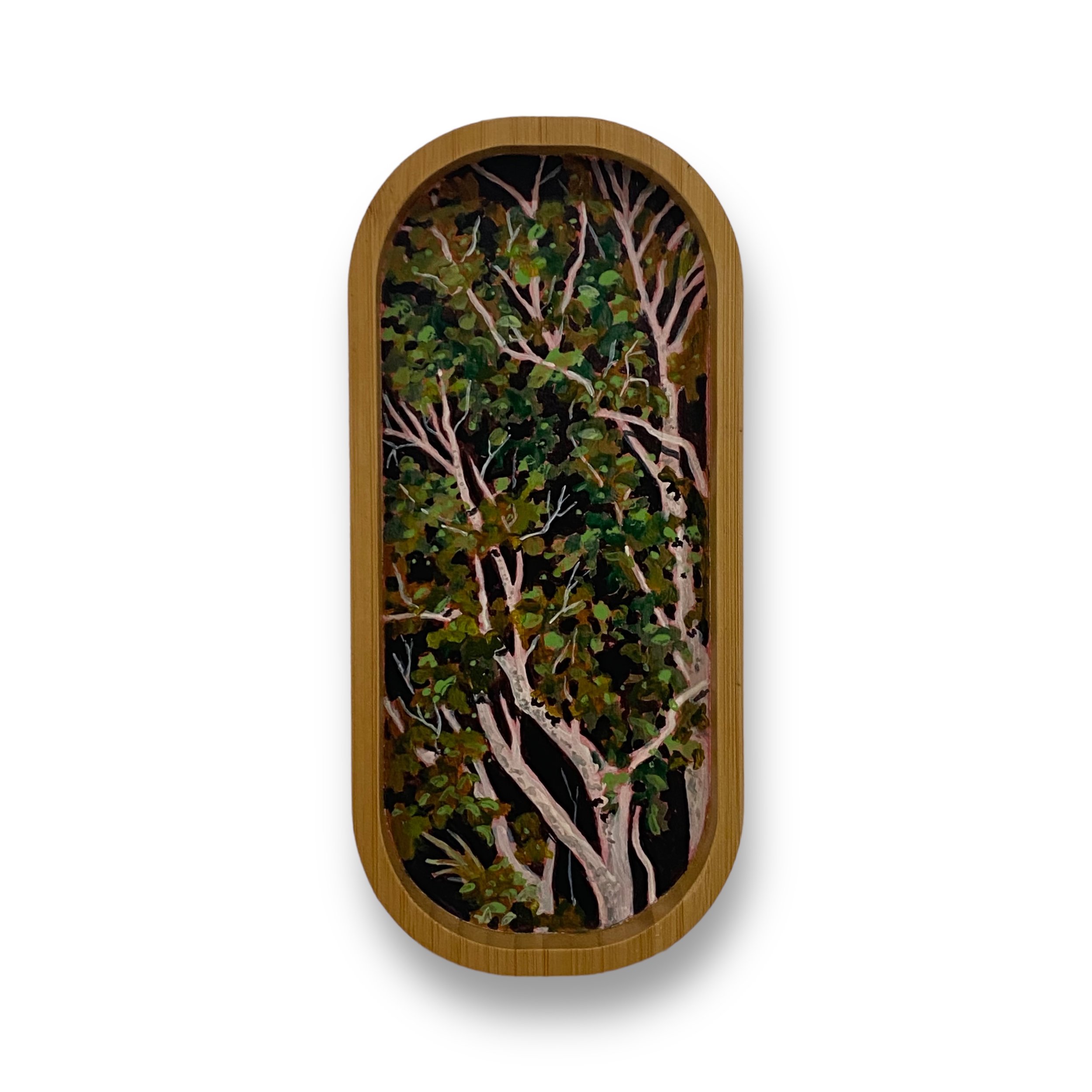 Sharing the night with ghostly gums