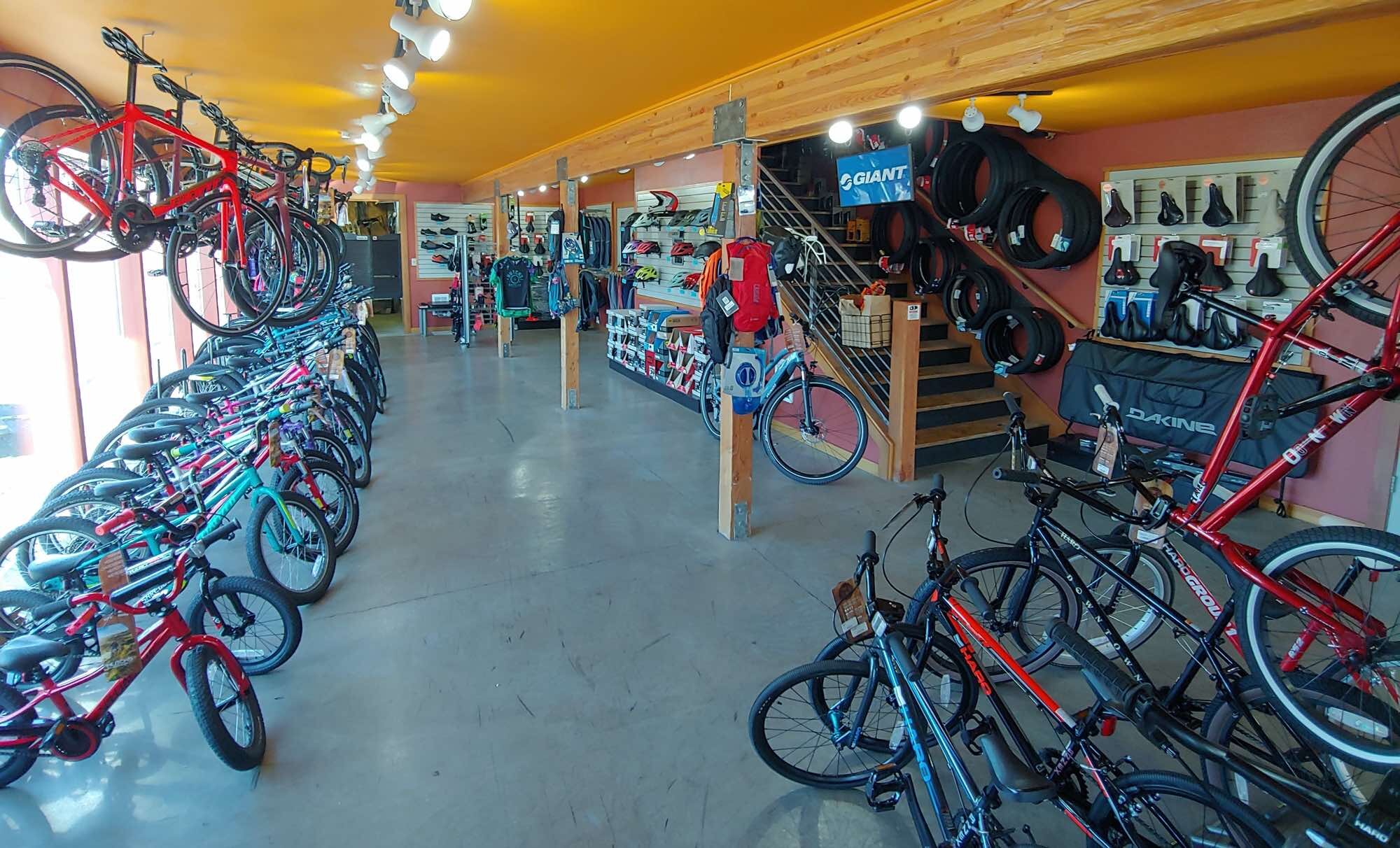 bicycle outlet store