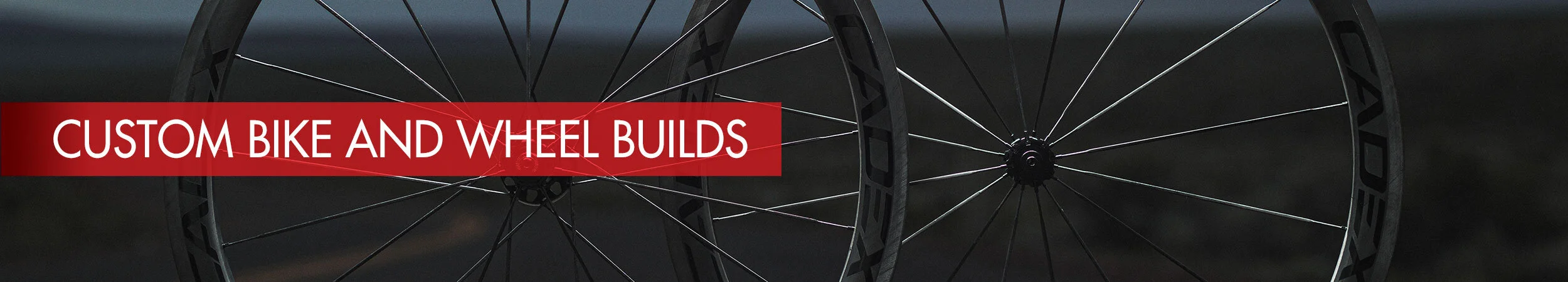 custom bike shop near me