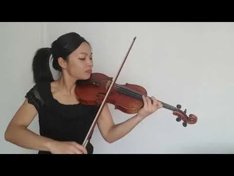 Megan Shung - The Red Violin Caprices