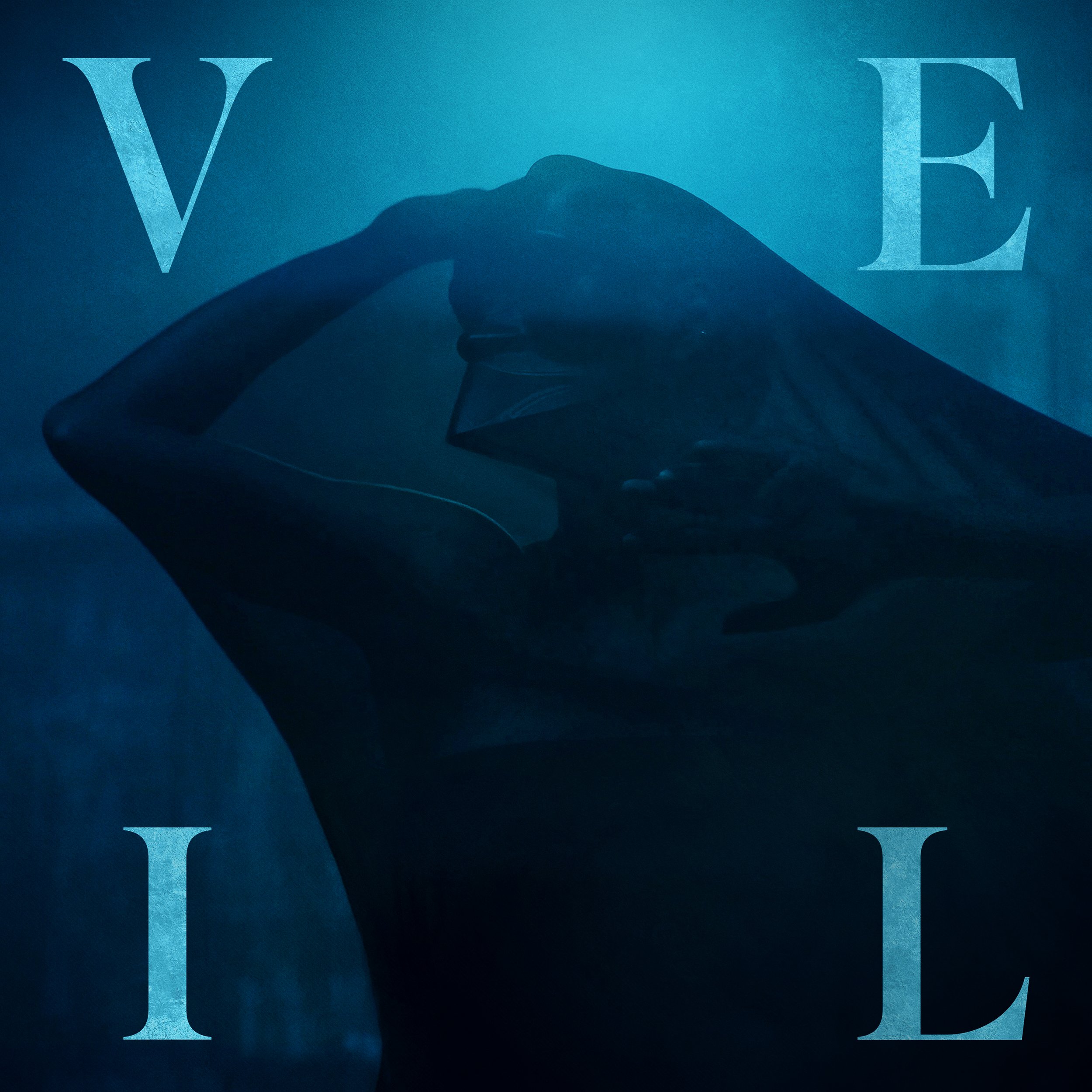 VeilAlbumArt-02.2 (1).jpg