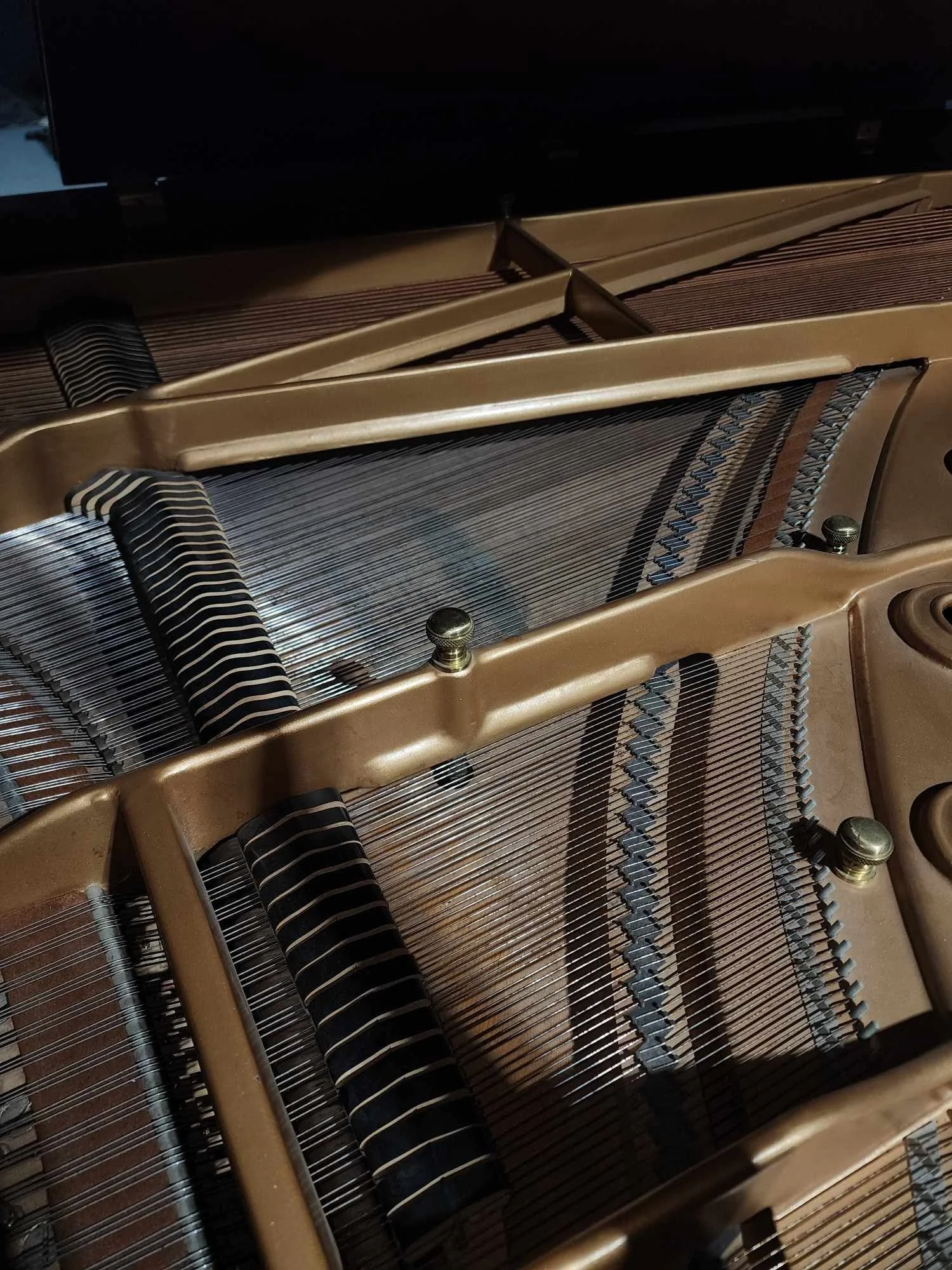 interior.jpg