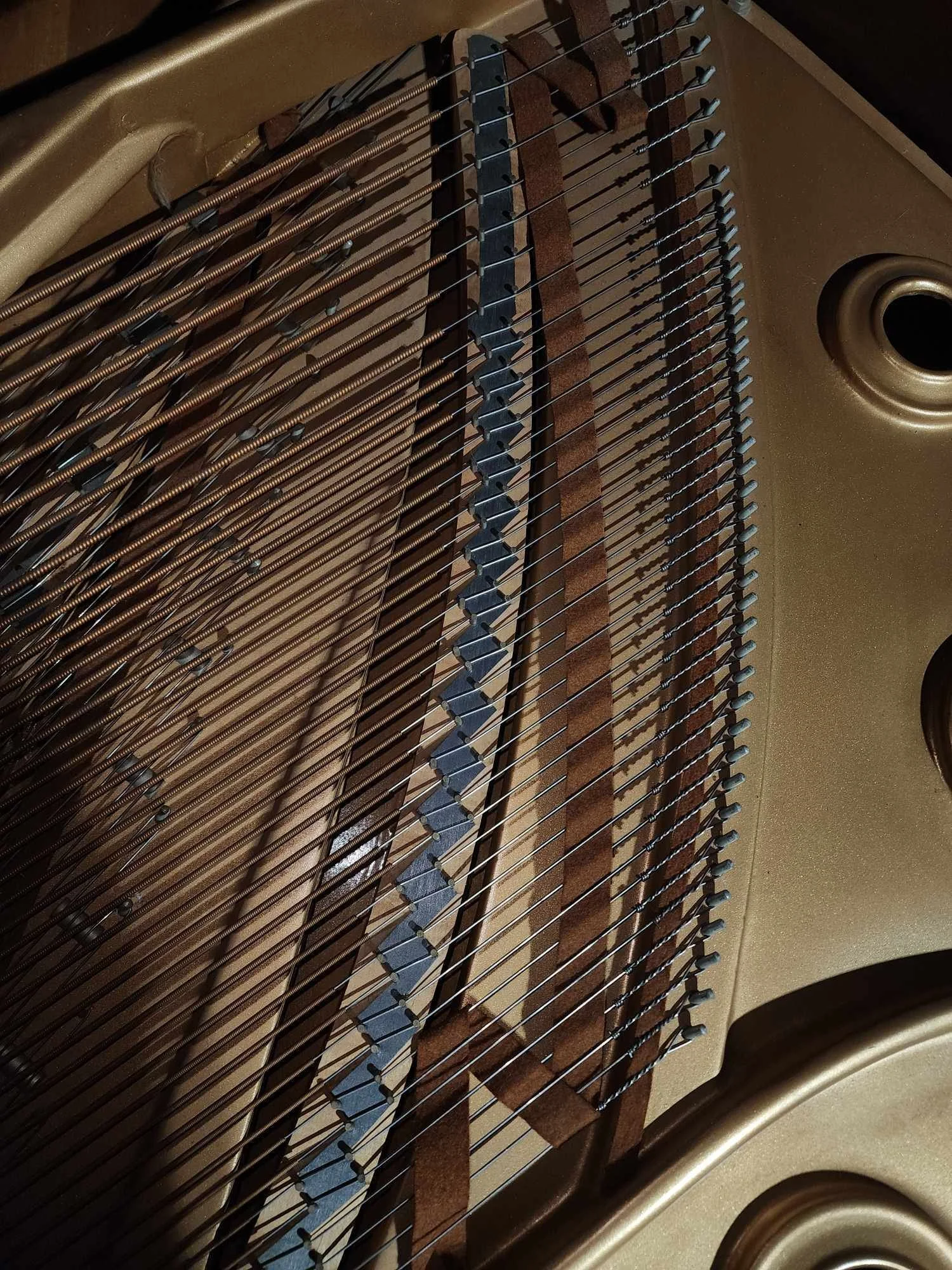 interior5.jpg