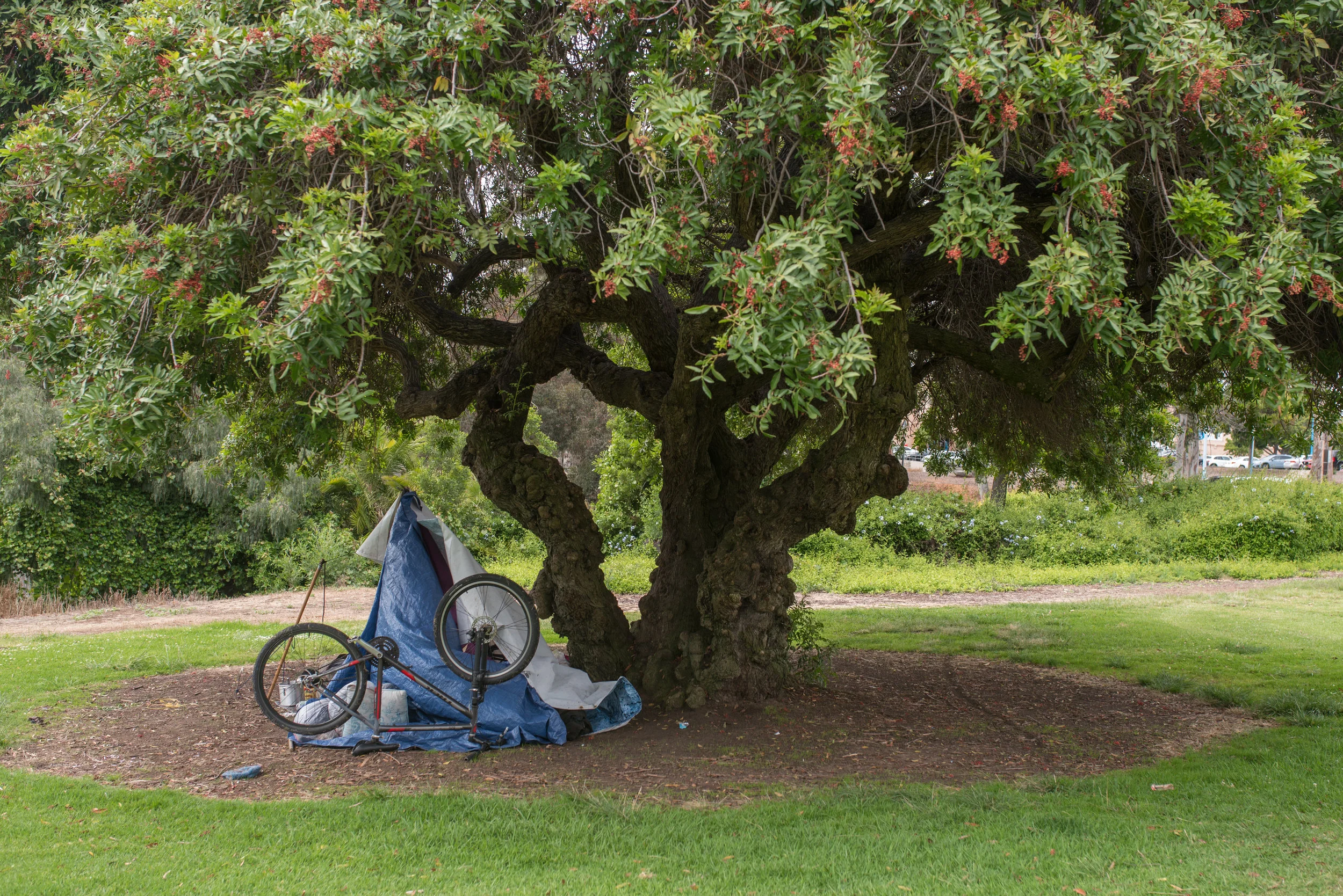 Not on vacations - Homeless-3.jpg