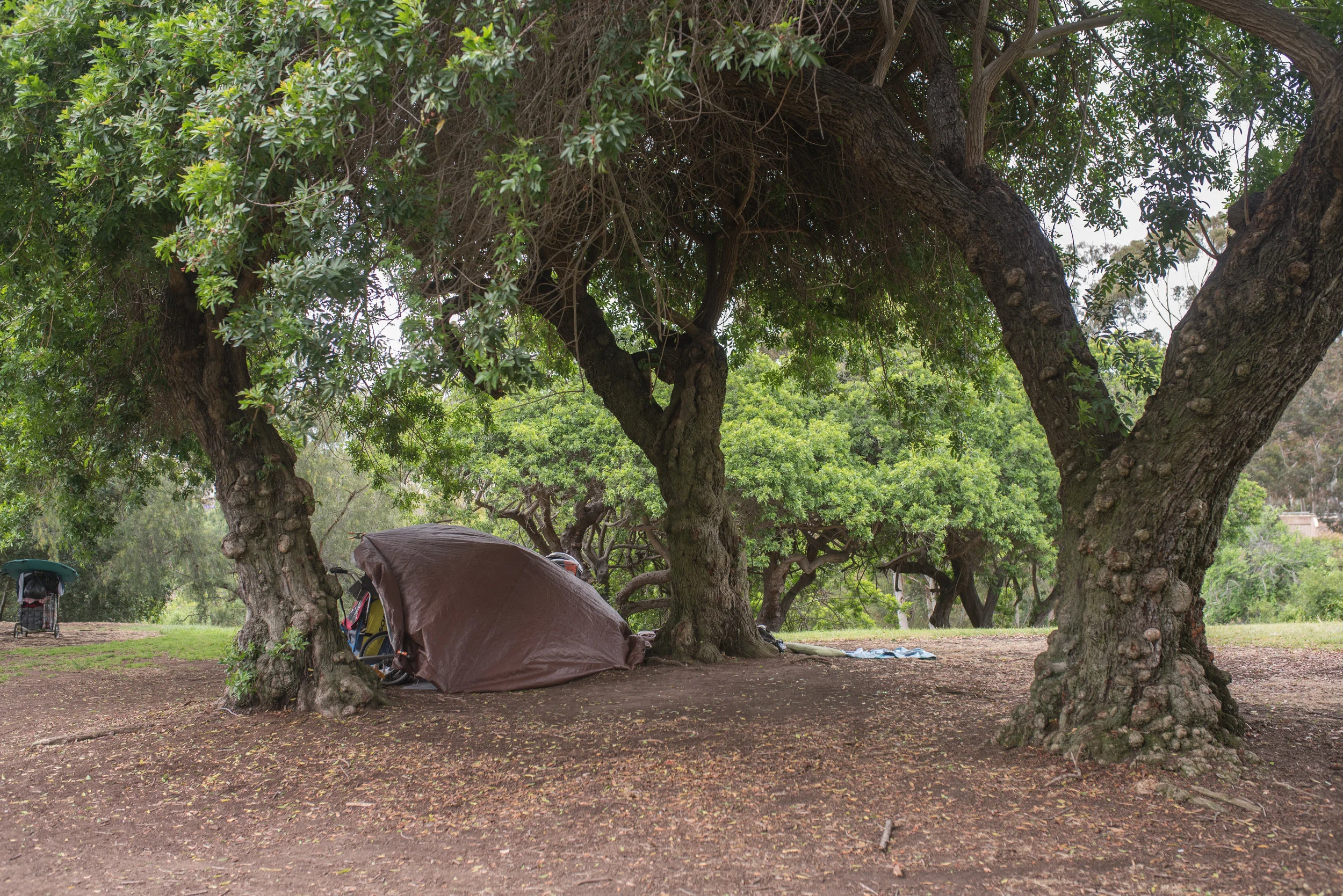 Not on vacations - Homeless-2.jpg