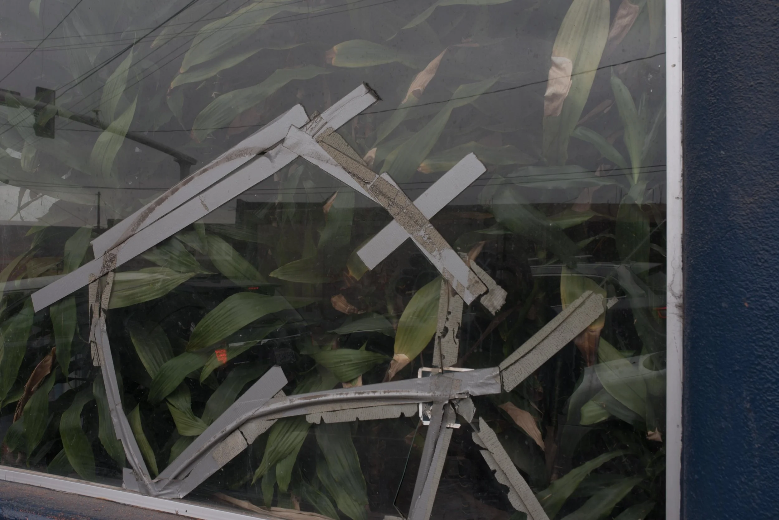 Betty manita_San Diego1_May2019-8.jpg