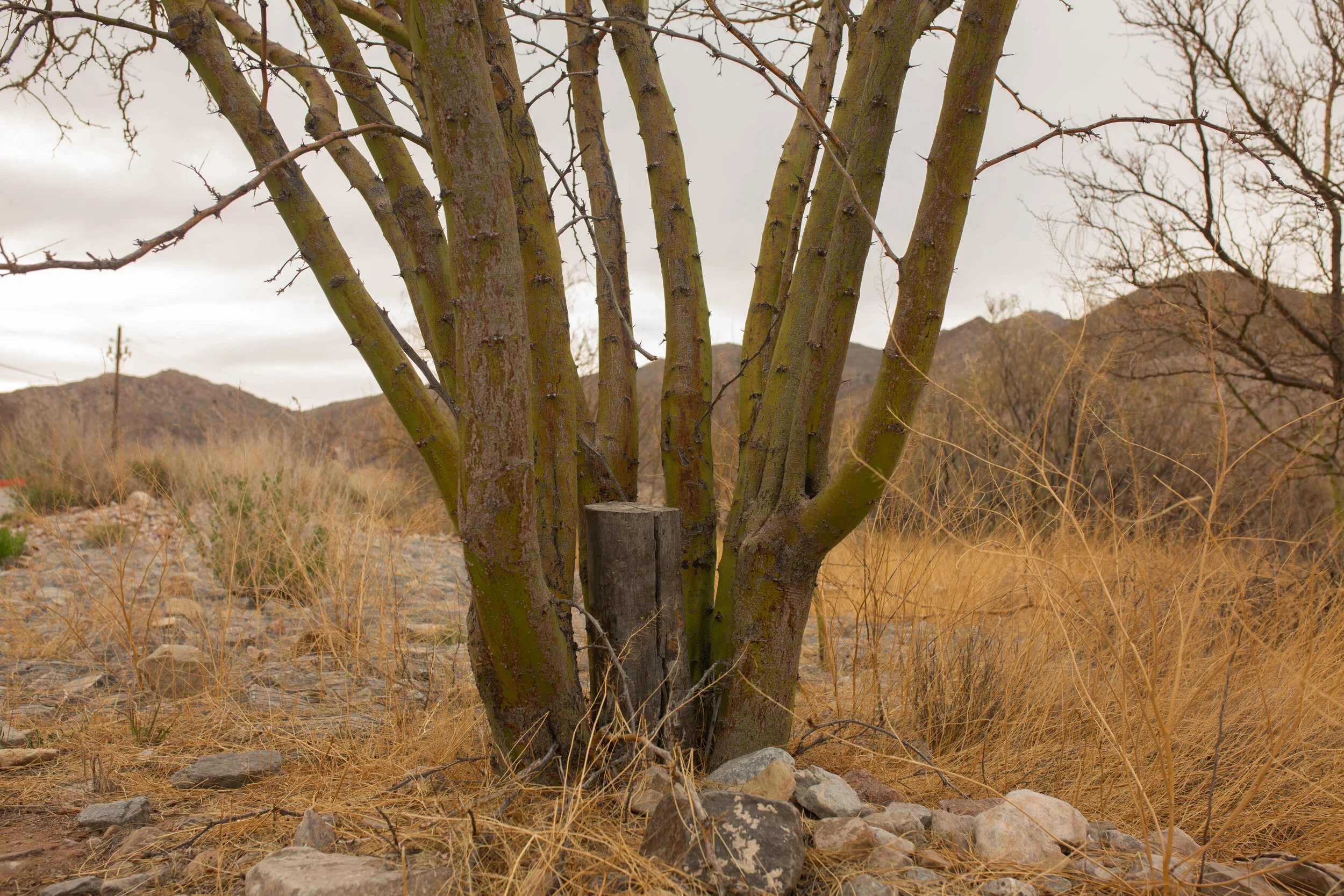 construcción de identidad_latrais.jpg