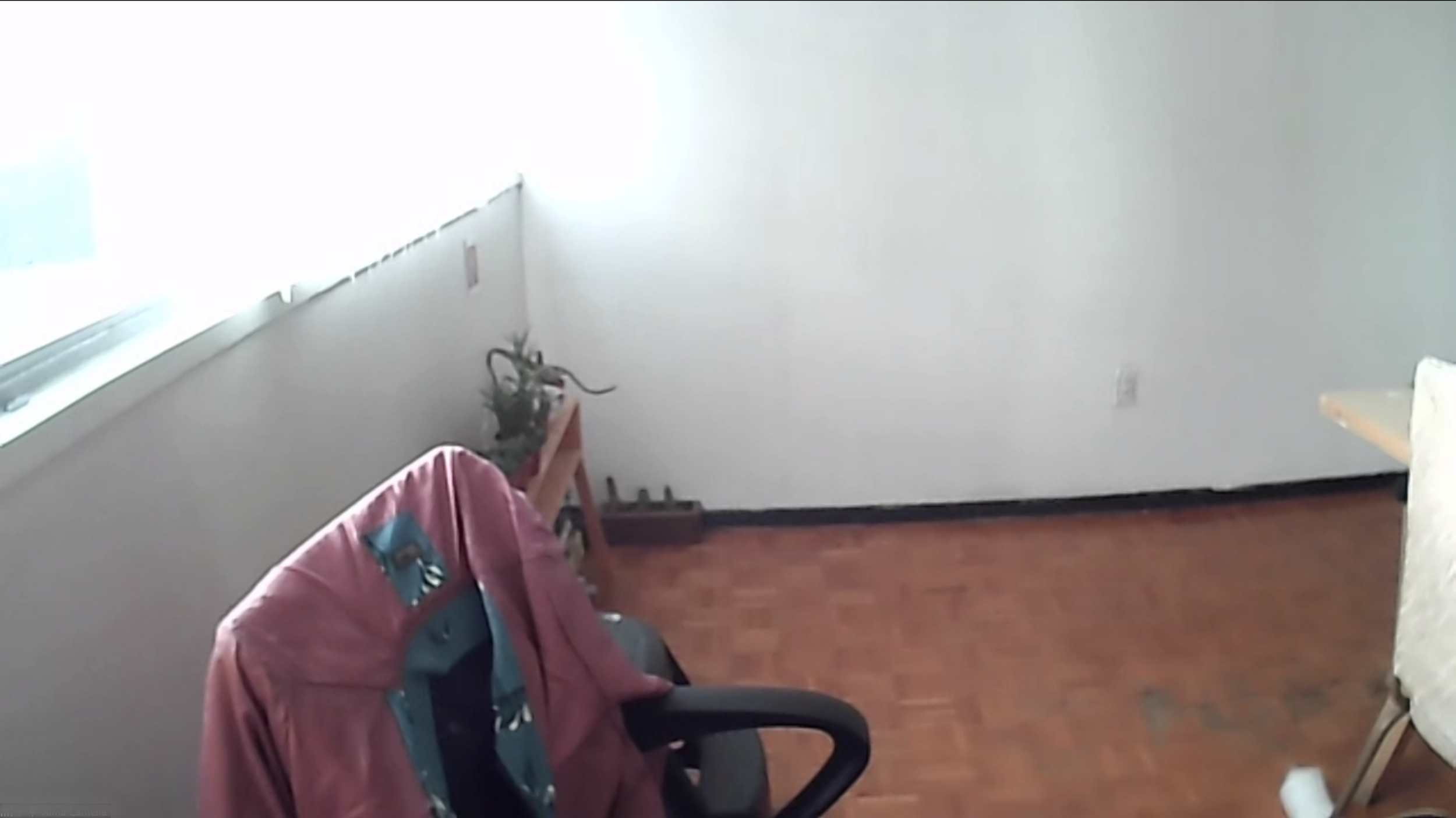 15 de junio.png