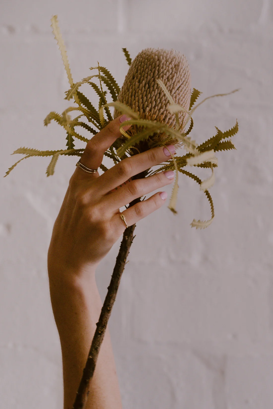 white-kite-studio-brand-crush-collab-dear-rae-2.jpg