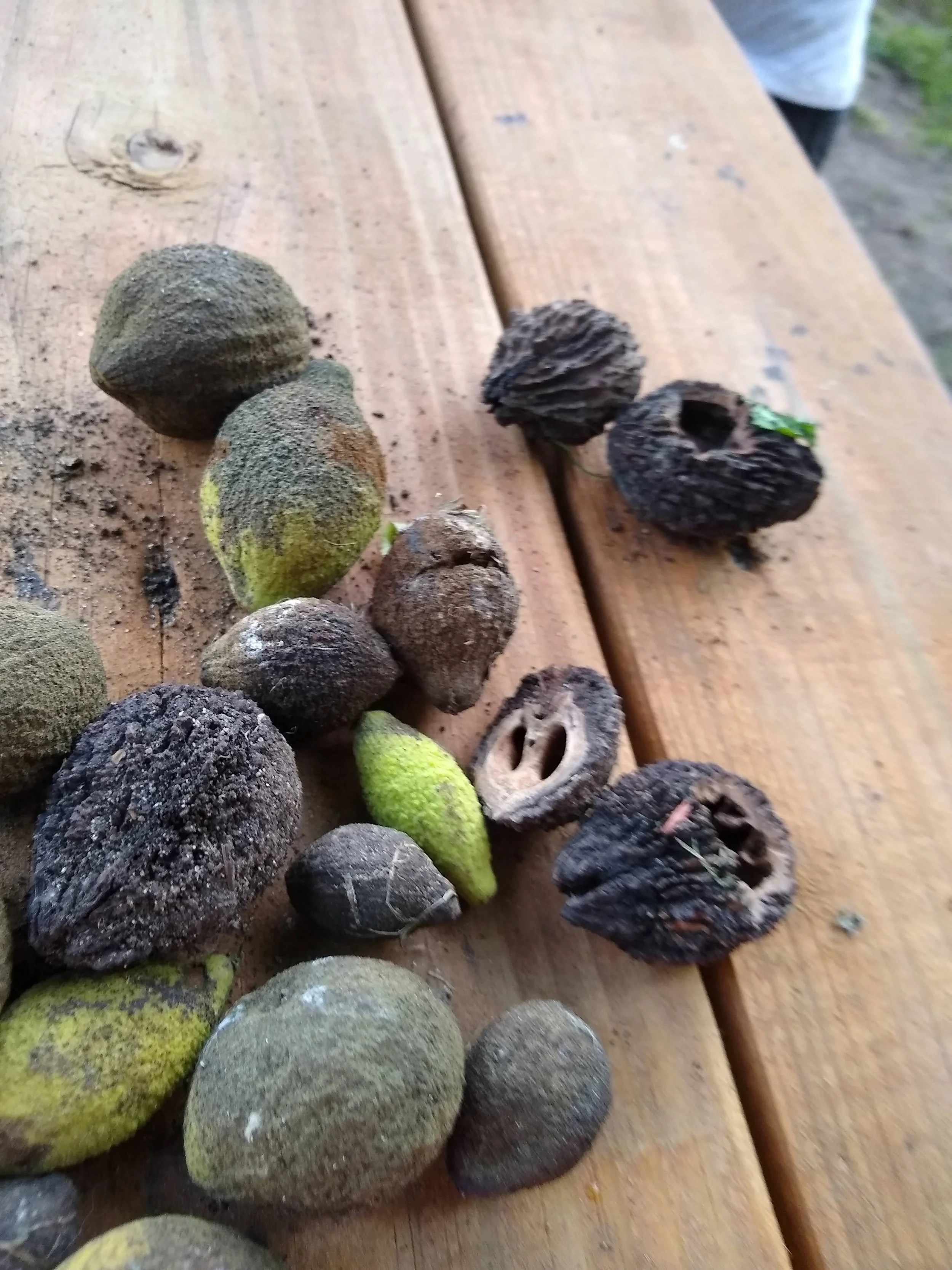 Week 2: The Paradox of Contemplation 