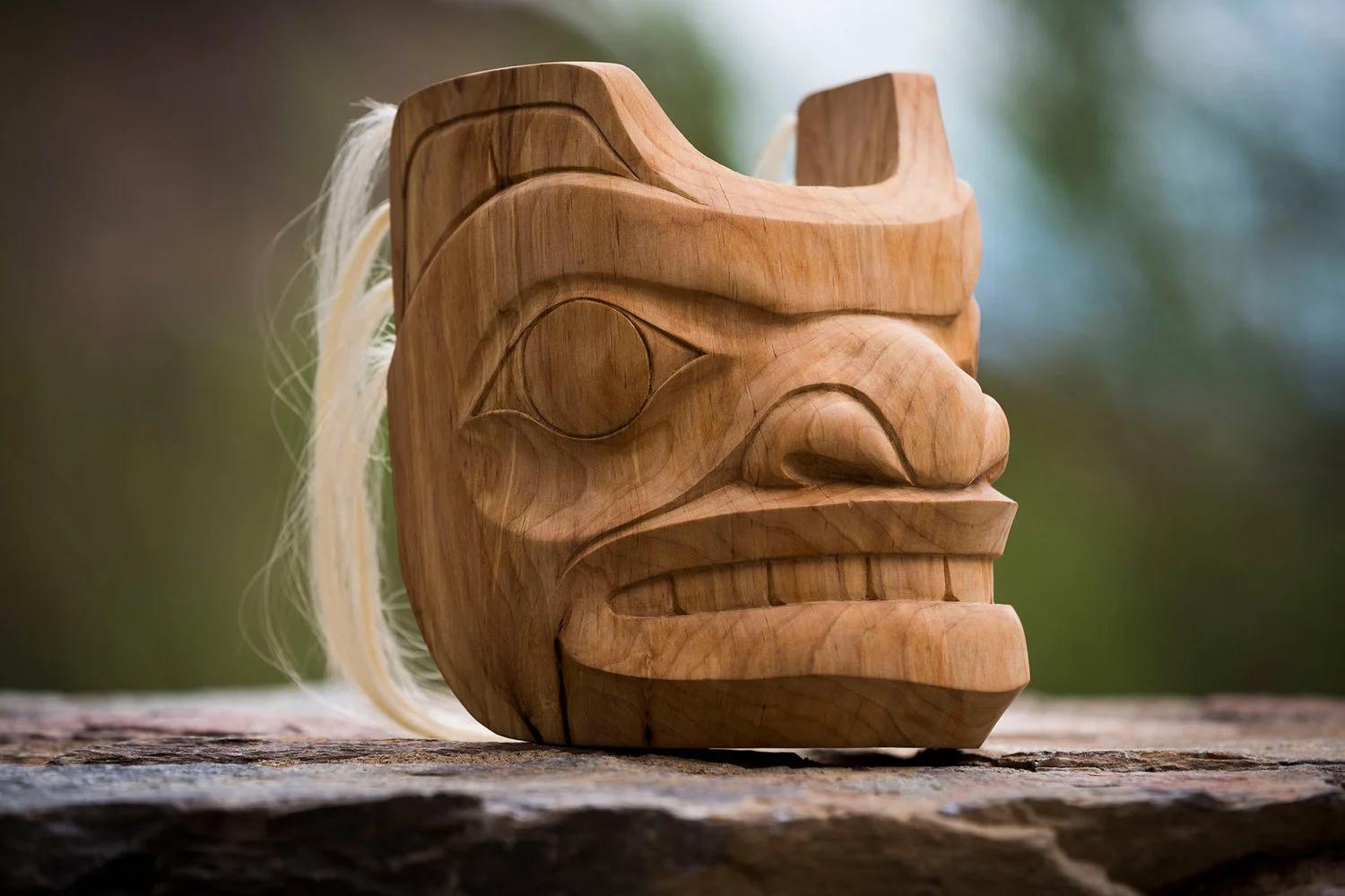 Spirit Bear / Alder