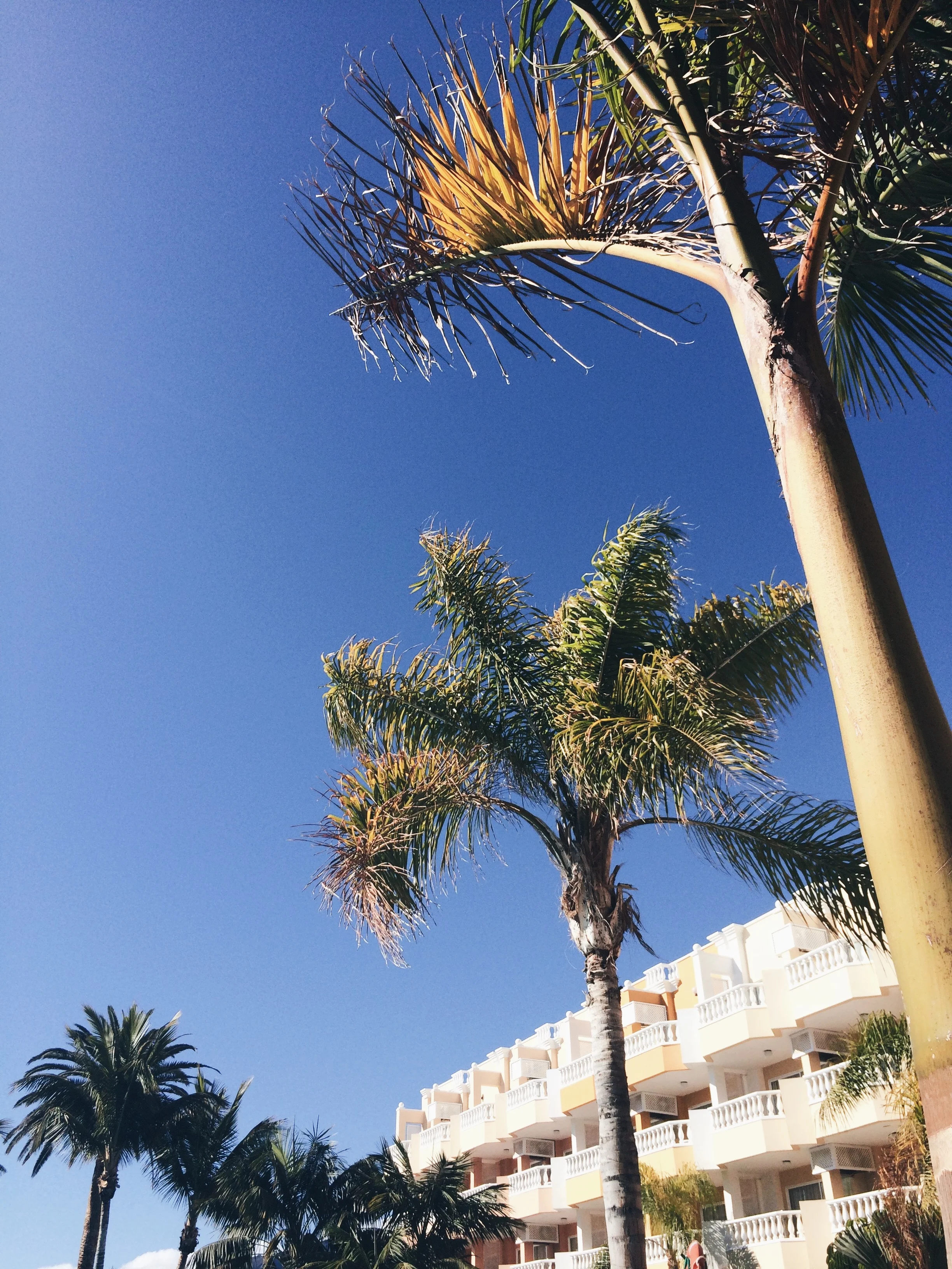 Time Away in Tenerife
