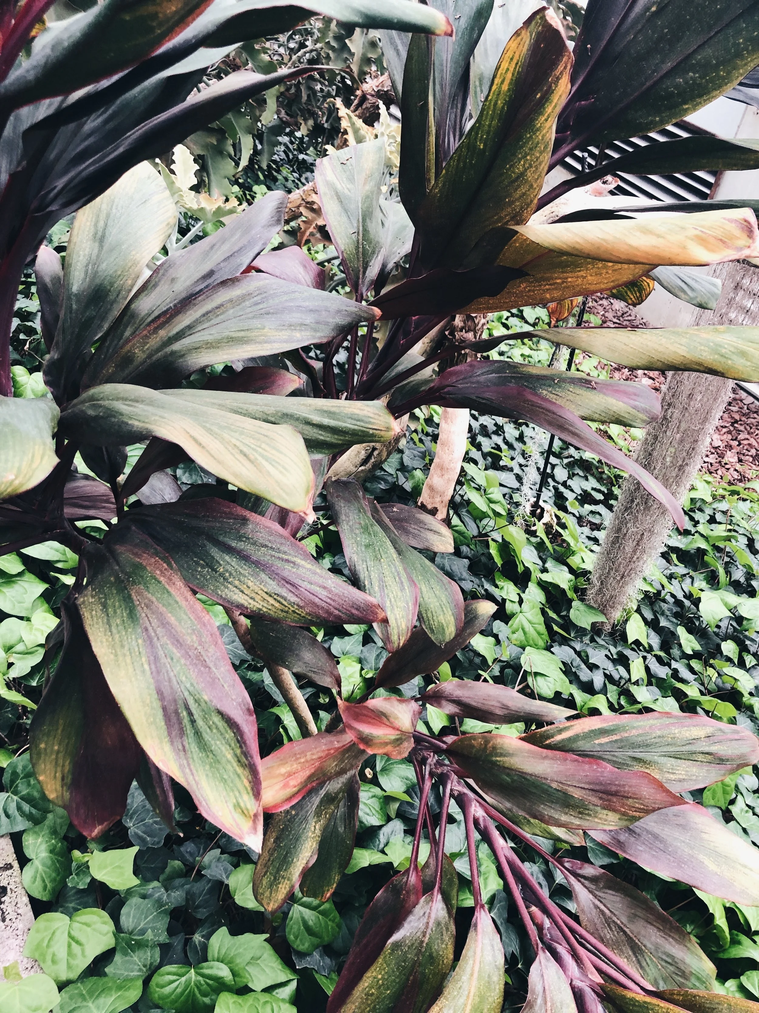 "Adventure is Worthwhile in Itself"